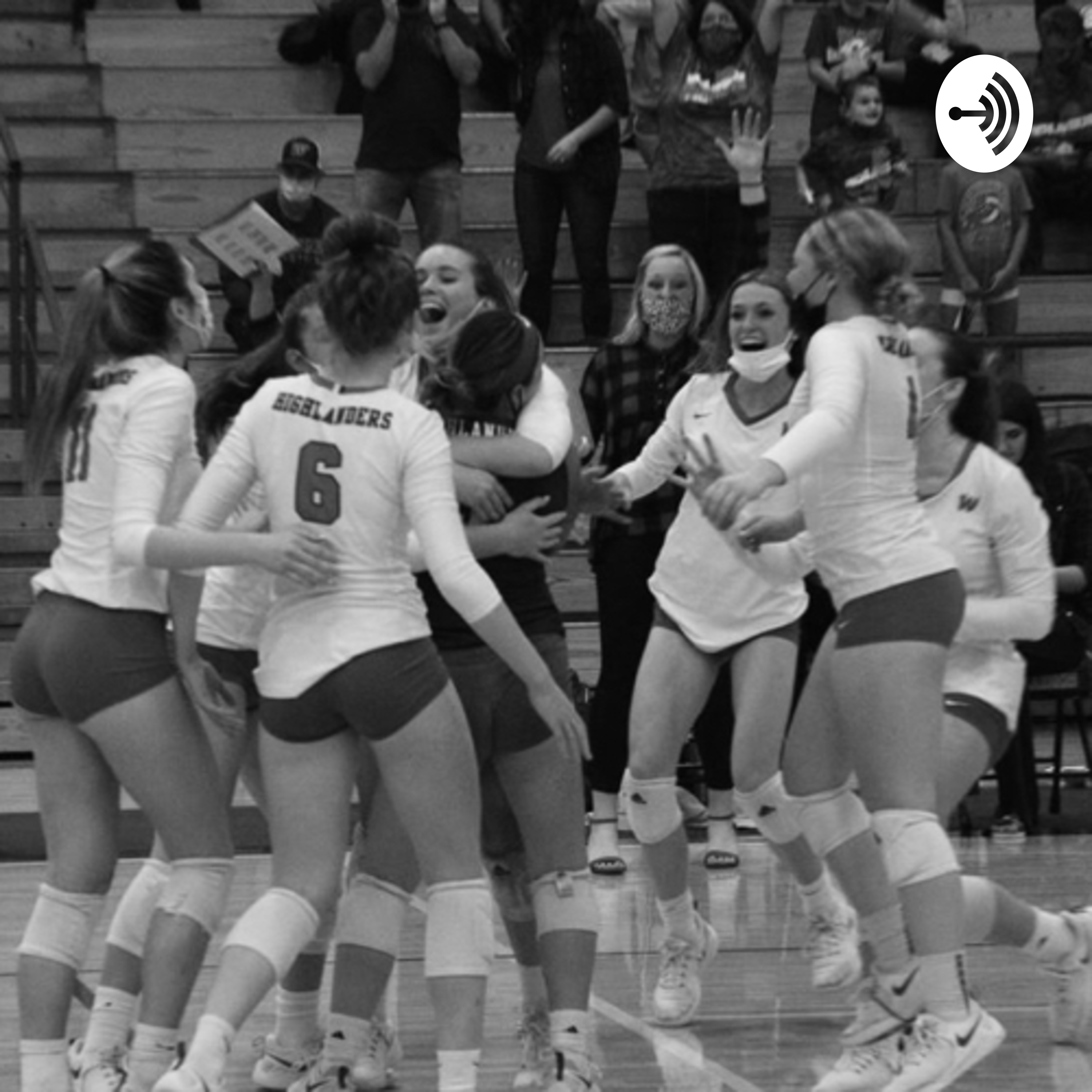 The Puzzle To Volleyball