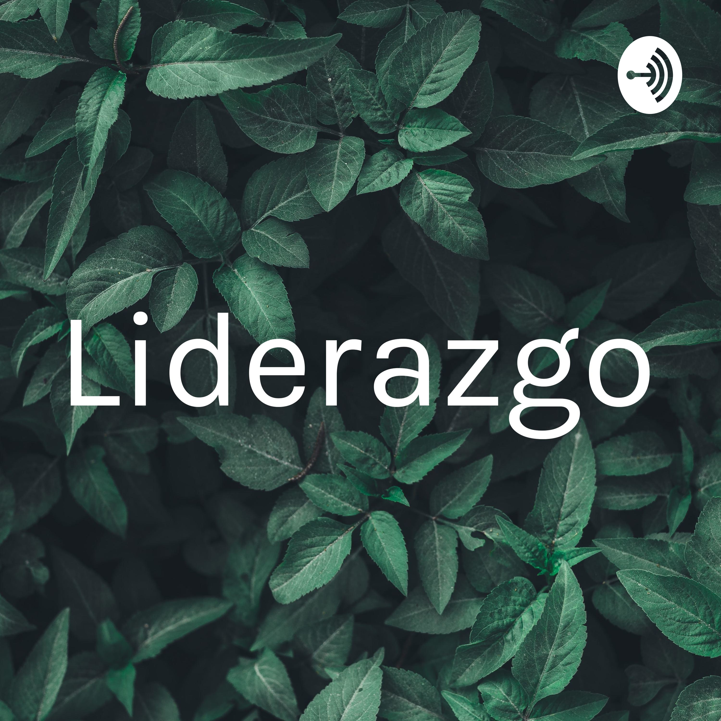 Liderazgo
