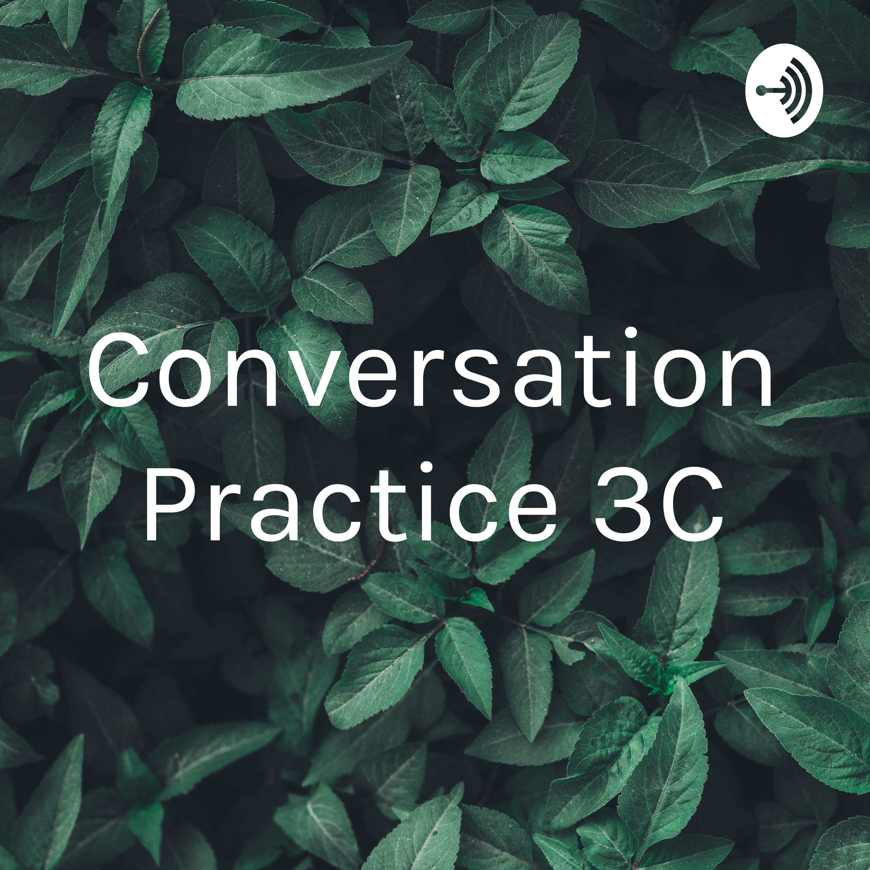 Podcast Conversation Practice 3°C