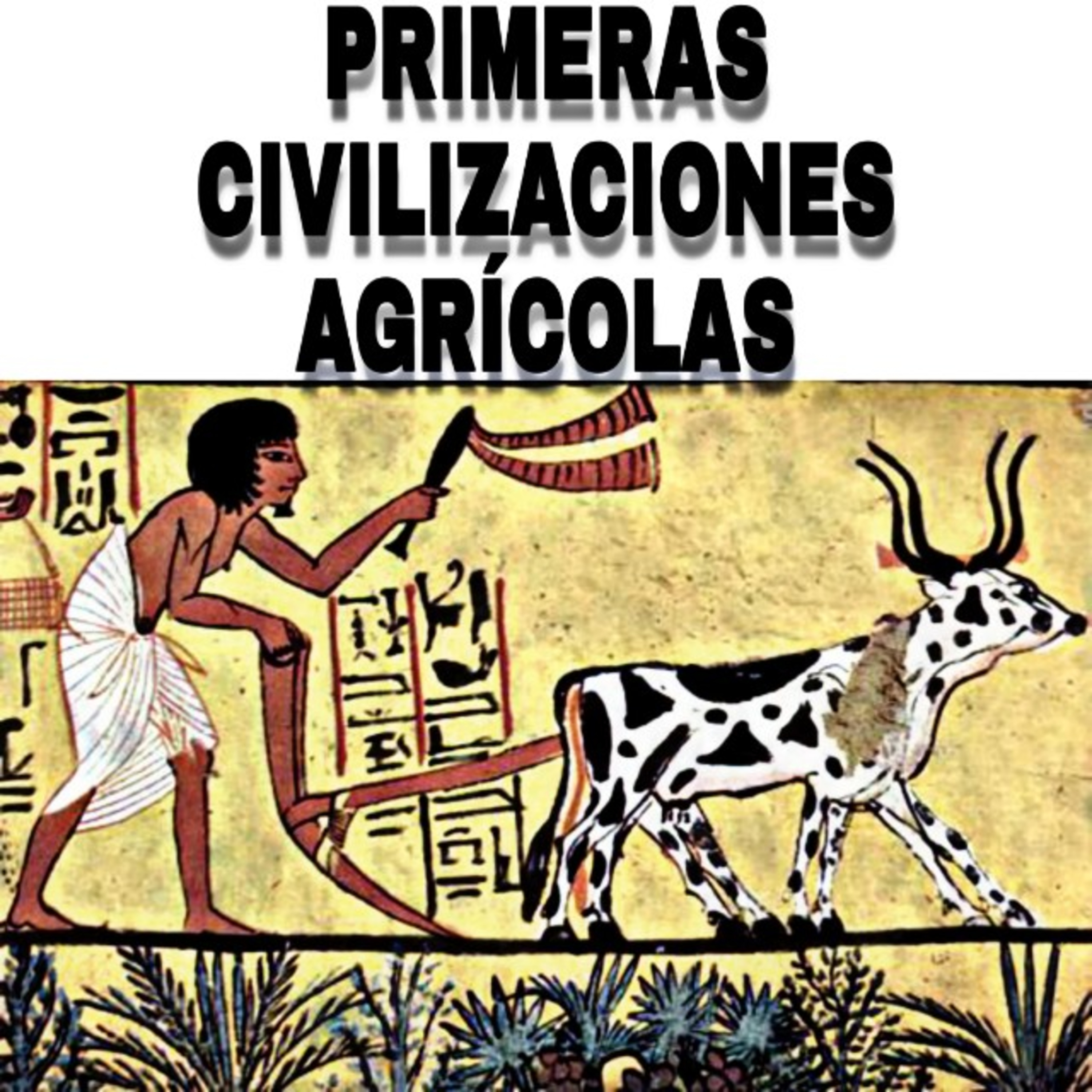 PRINCIPALES CIVILIZACIONES AGRÍCOLAS (MESOPOTAMIA Y EGIPTO)
