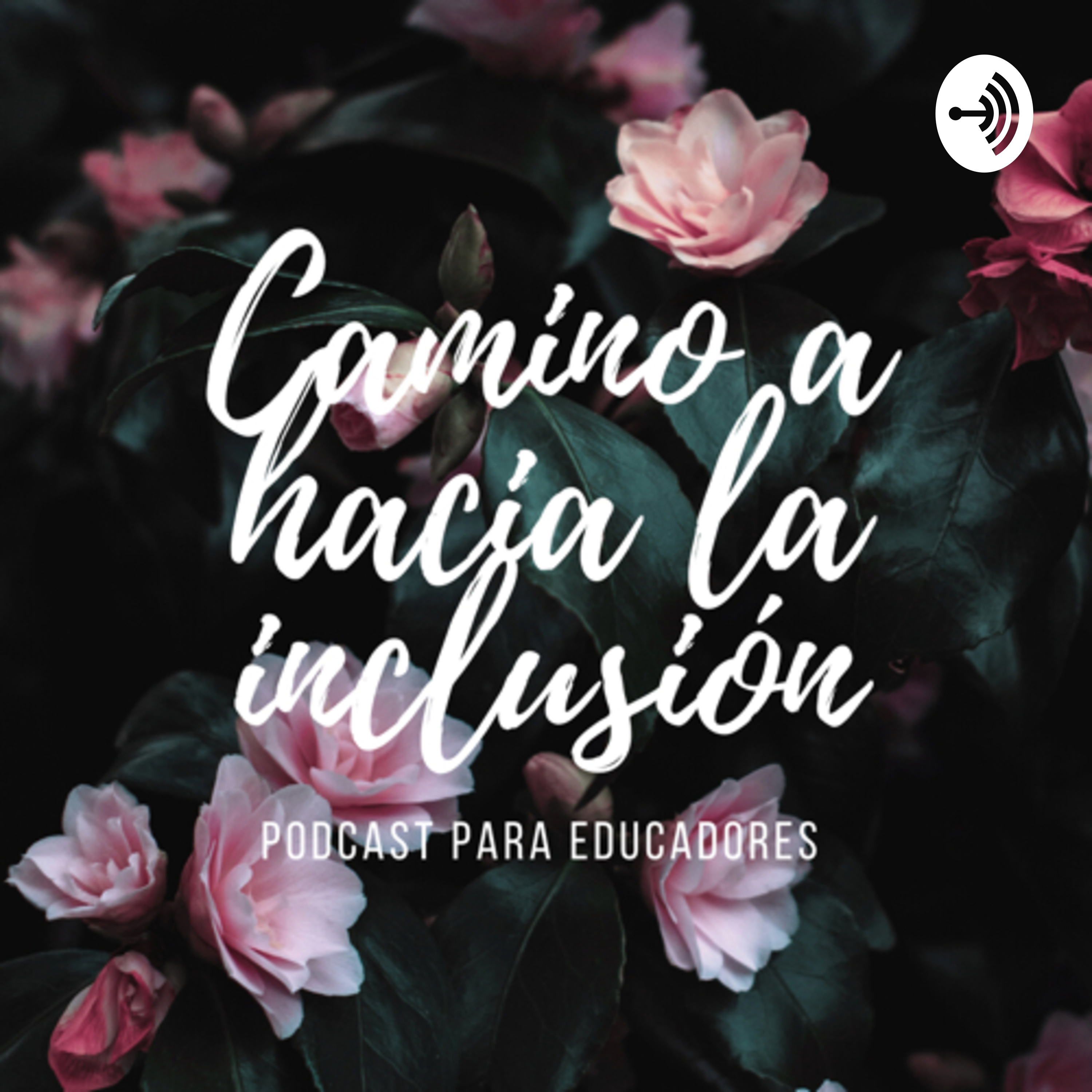 Incidente crítico: A lejos de estar en inclusión escolar. 