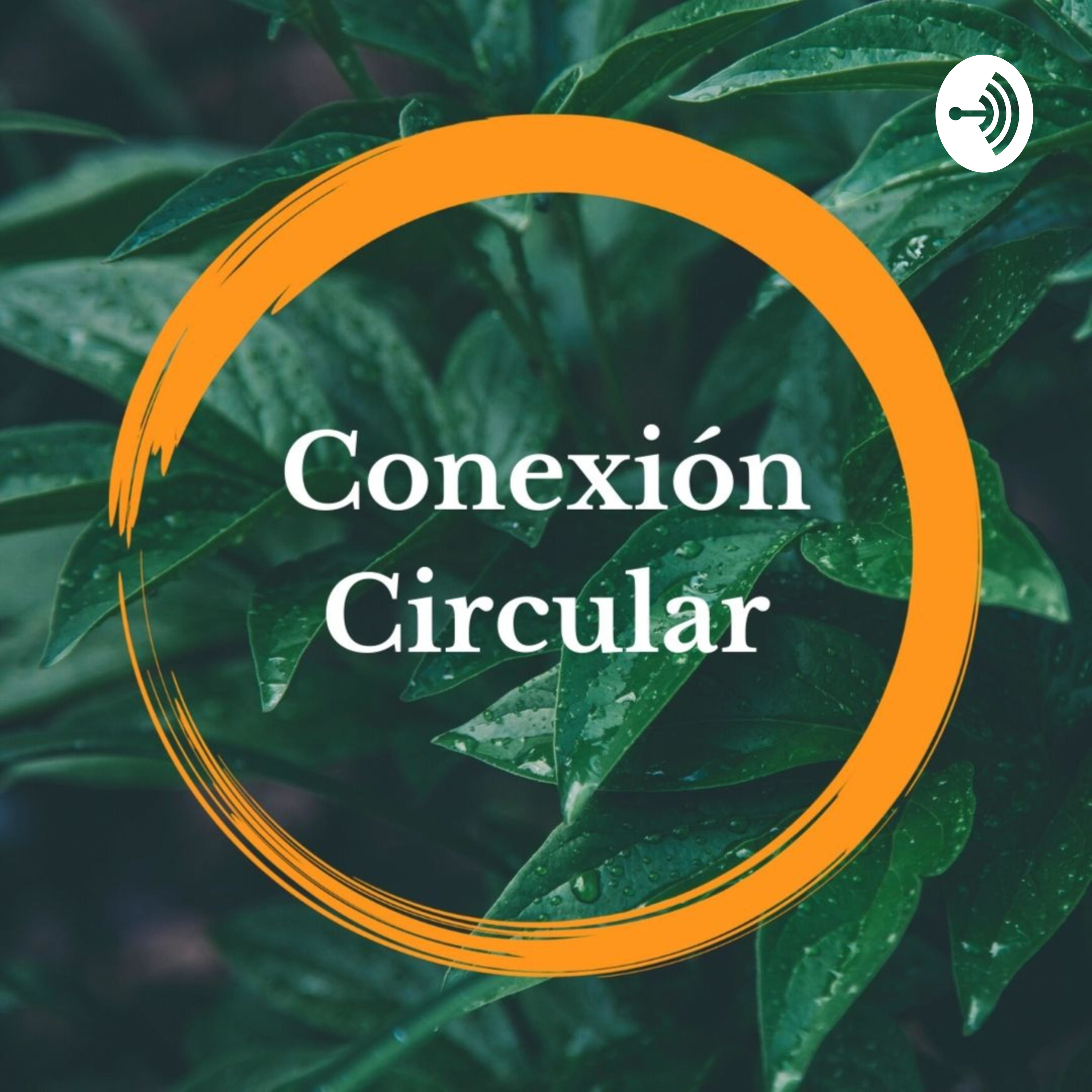 Conexión Circular