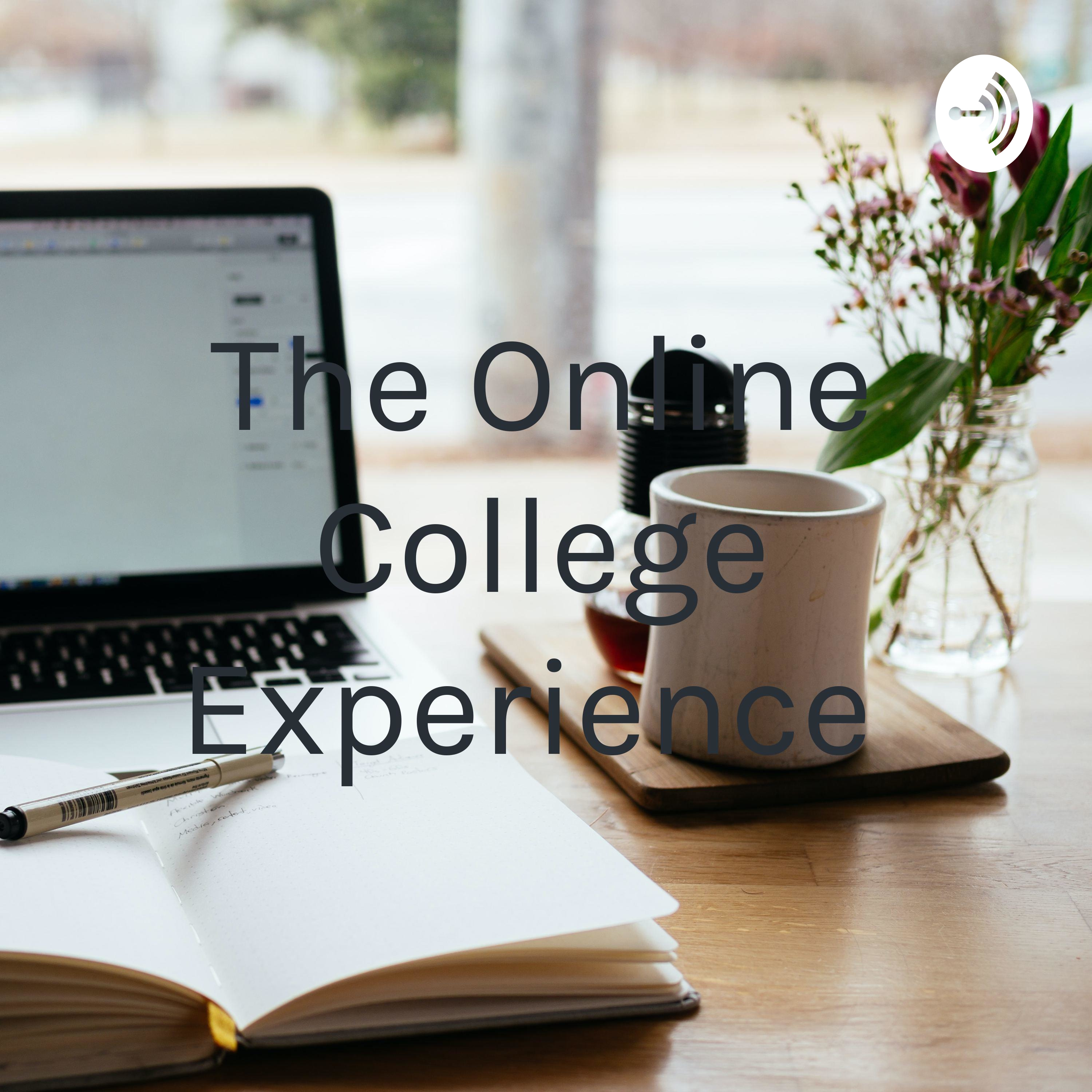 The Online College Experience 