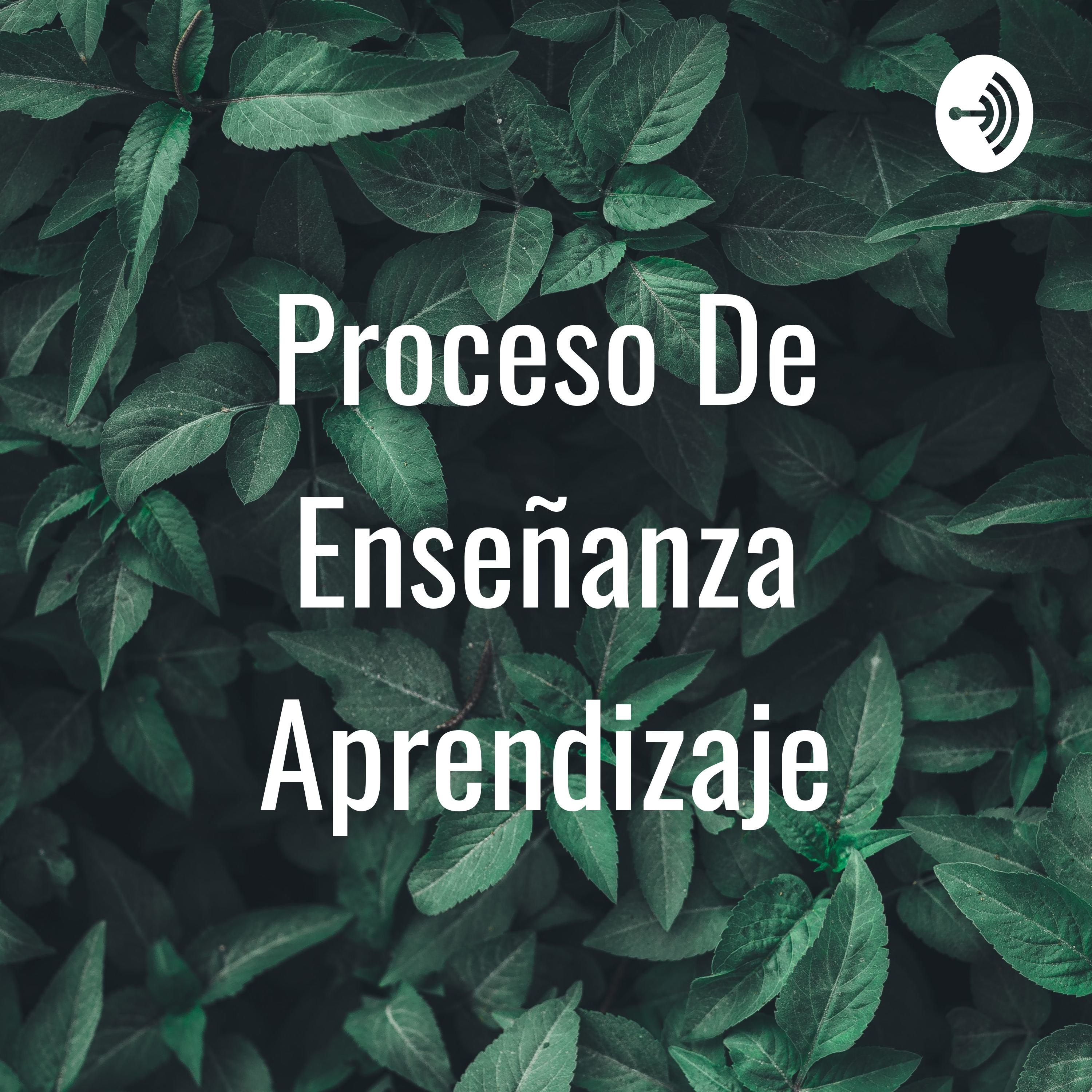 Proceso De Enseñanza Aprendizaje