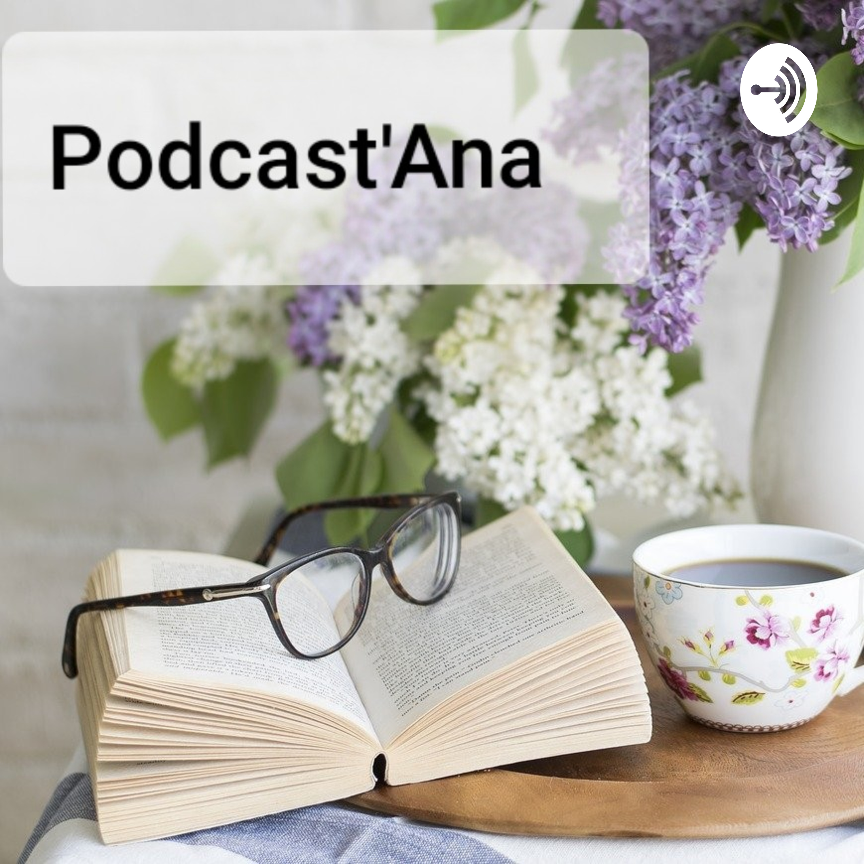 Podcast'Ana cover art