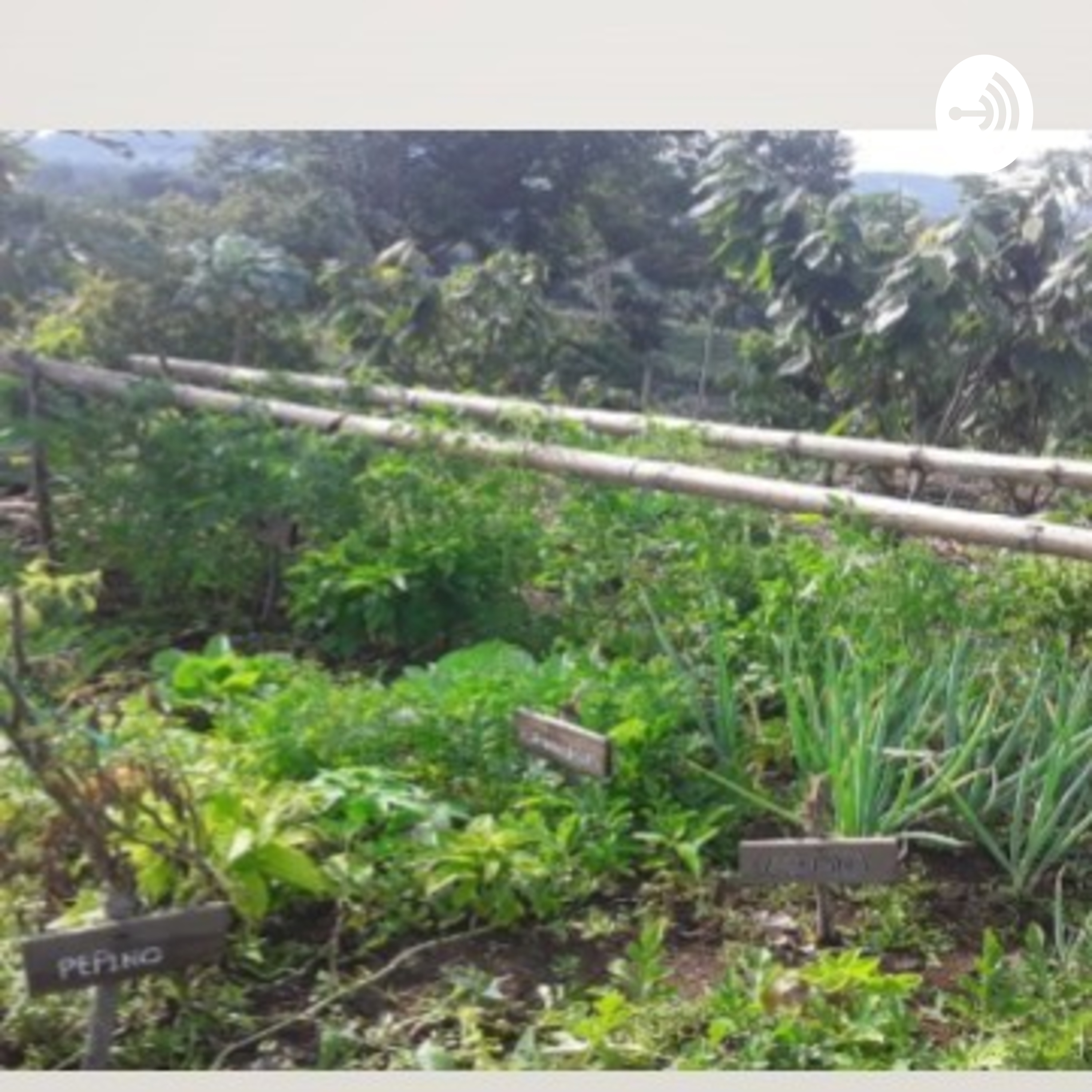 Mi Huerta Casera