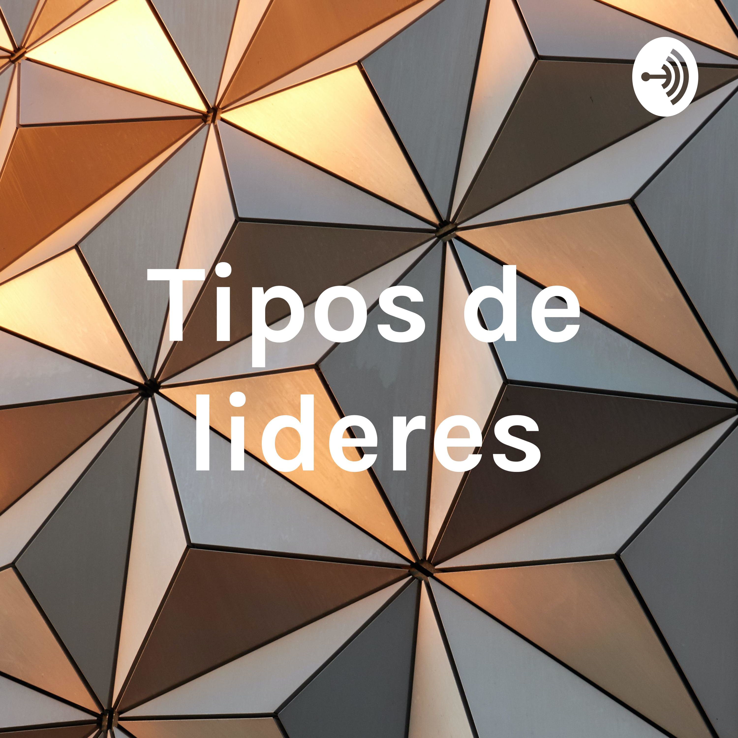 Tipos de lideres