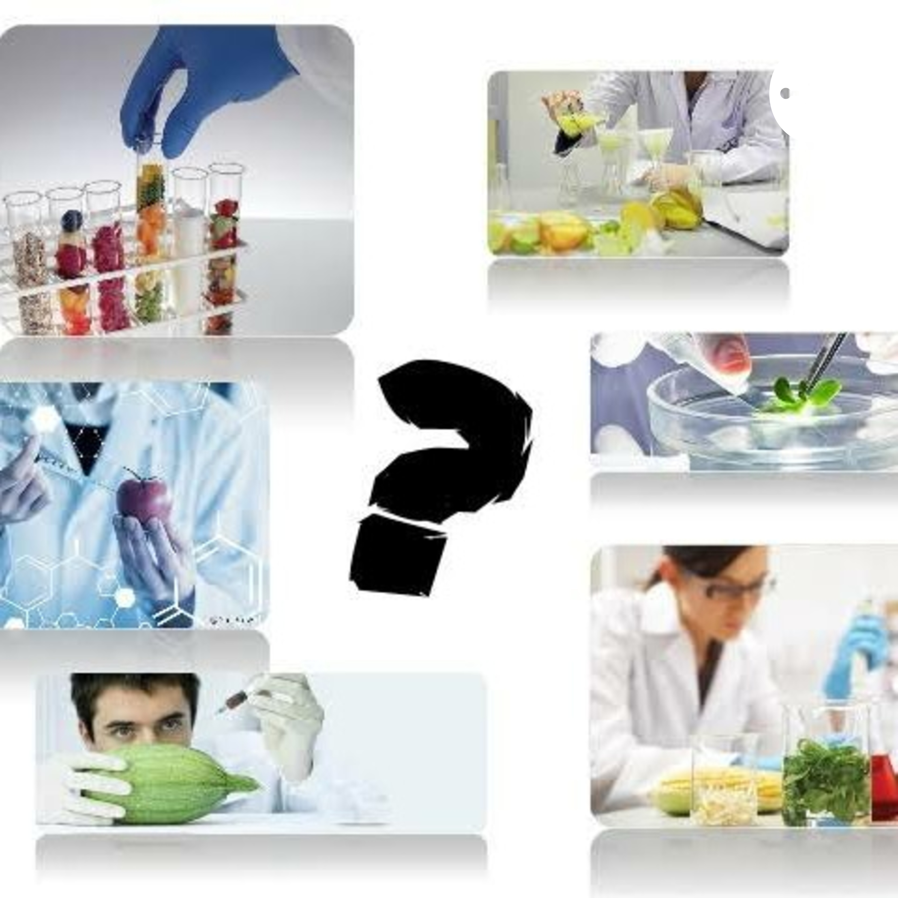 Fraude em alimentos e a importância da bromatologia como ferramenta de detecção