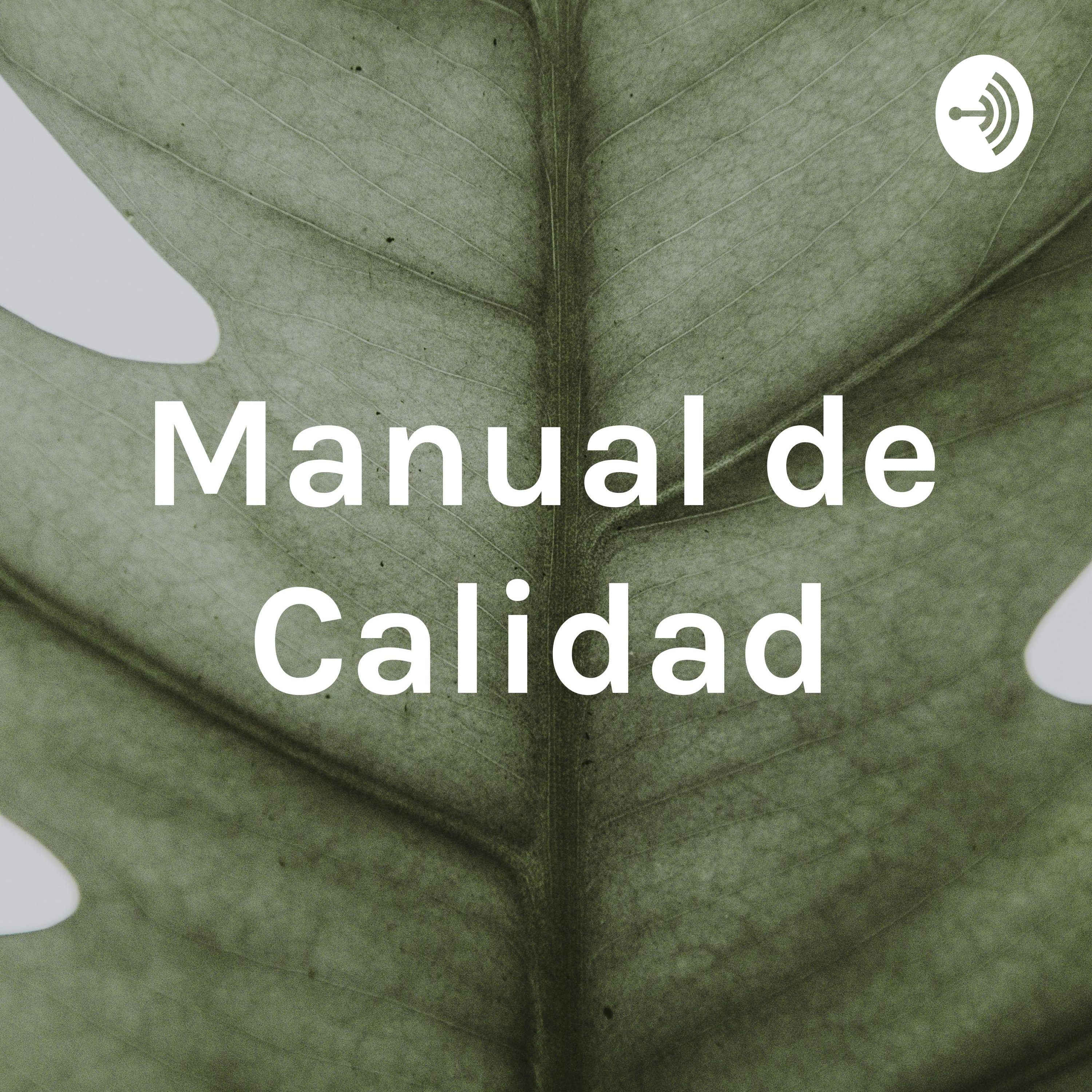 Manual de Calidad