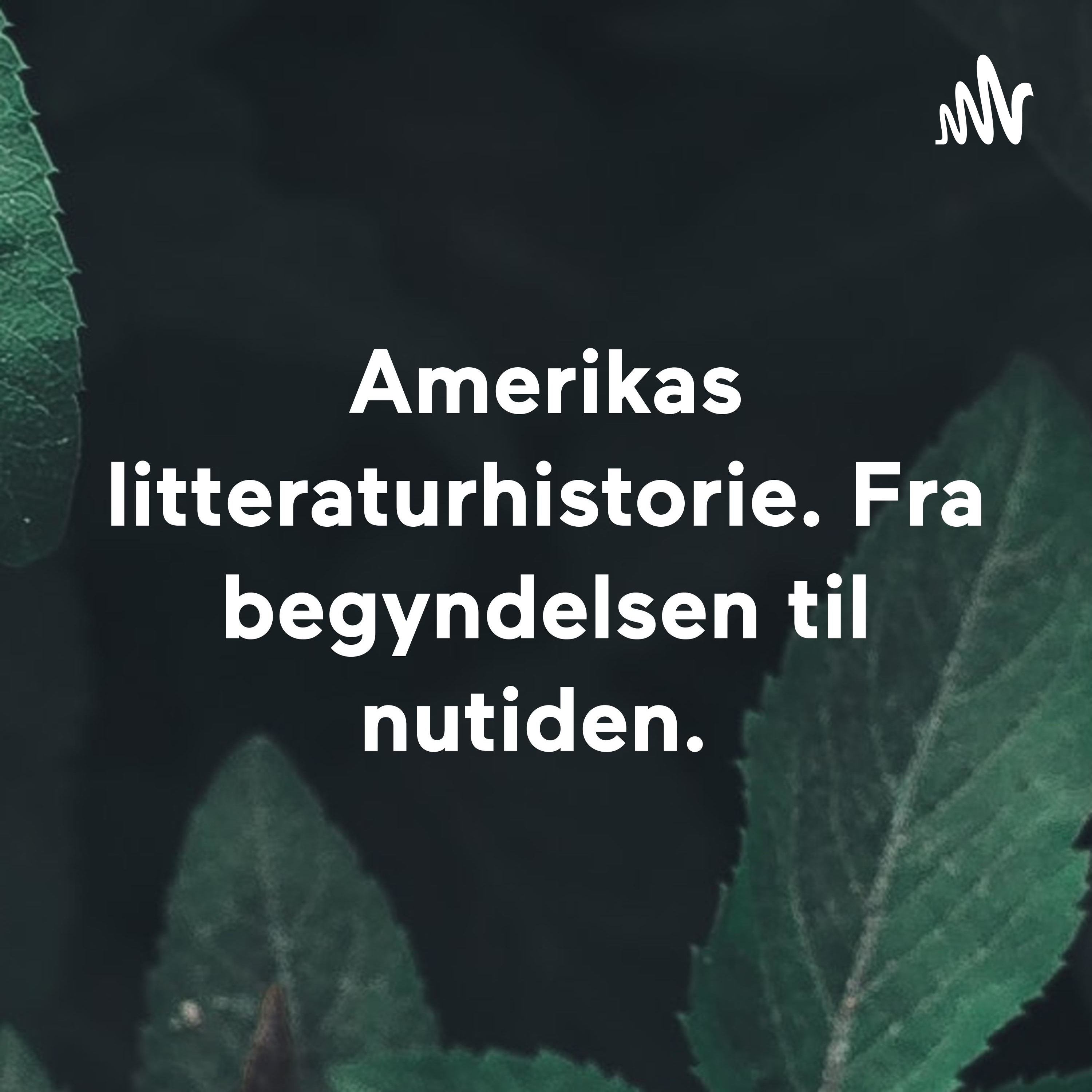Amerikas litteraturhistorie. Fra begyndelsen til nutiden af Morten Gregersen