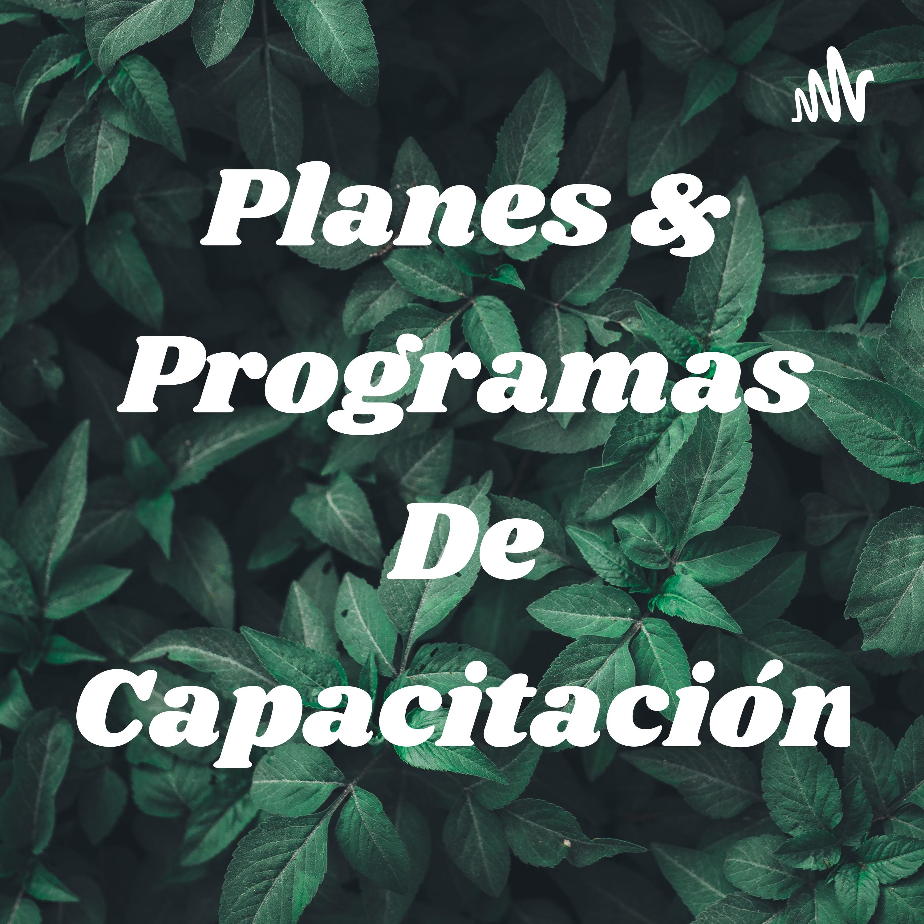 Planes & Programas De Capacitación podcast artwork