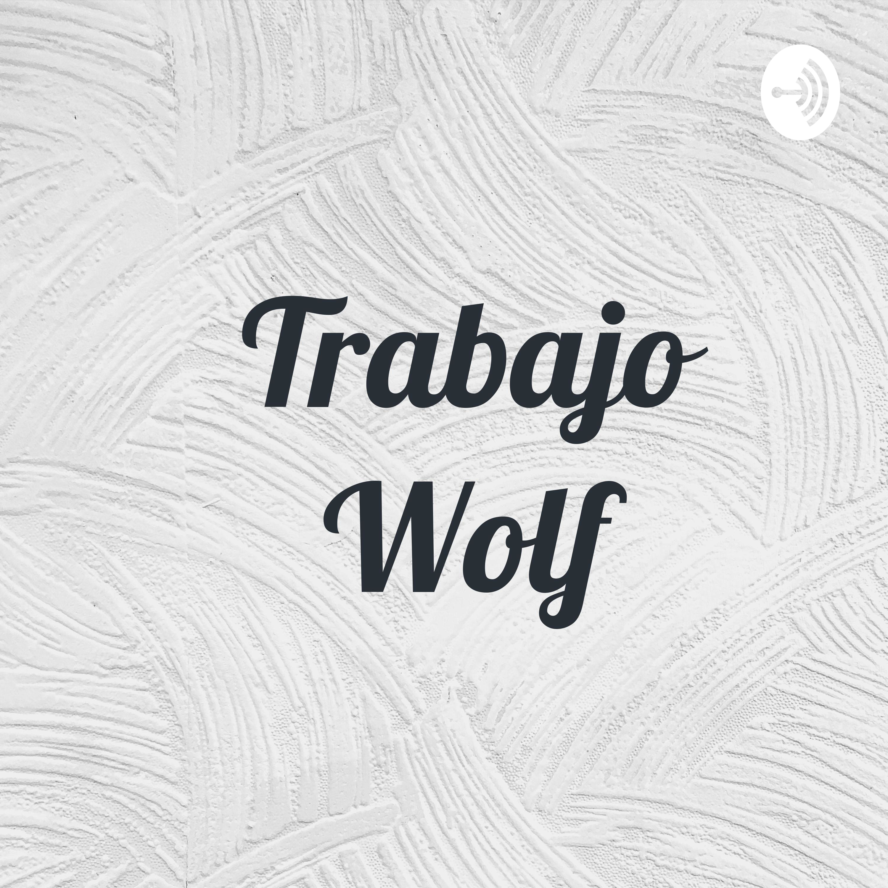Trabajo Wolf