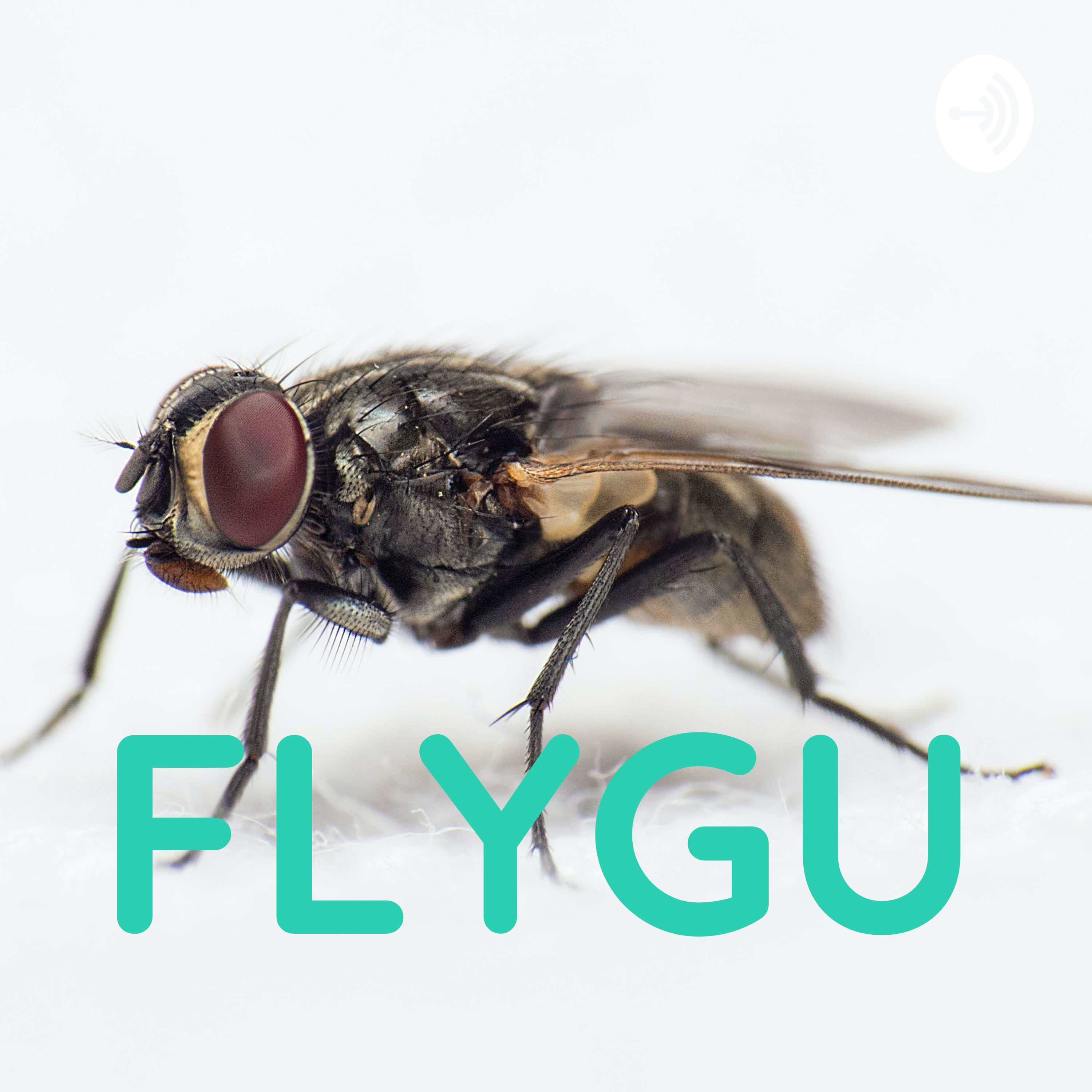 FLYGU