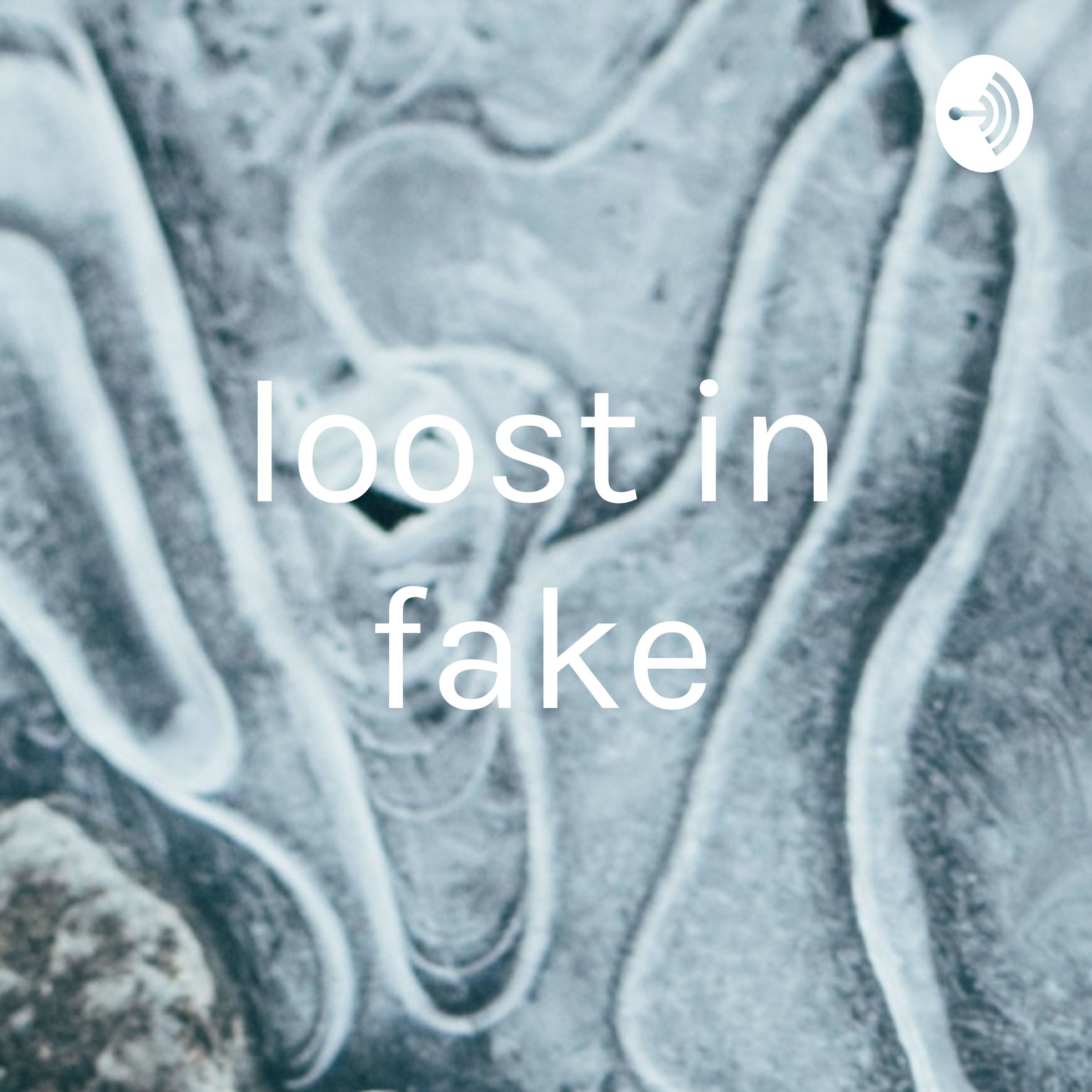 loost in fake