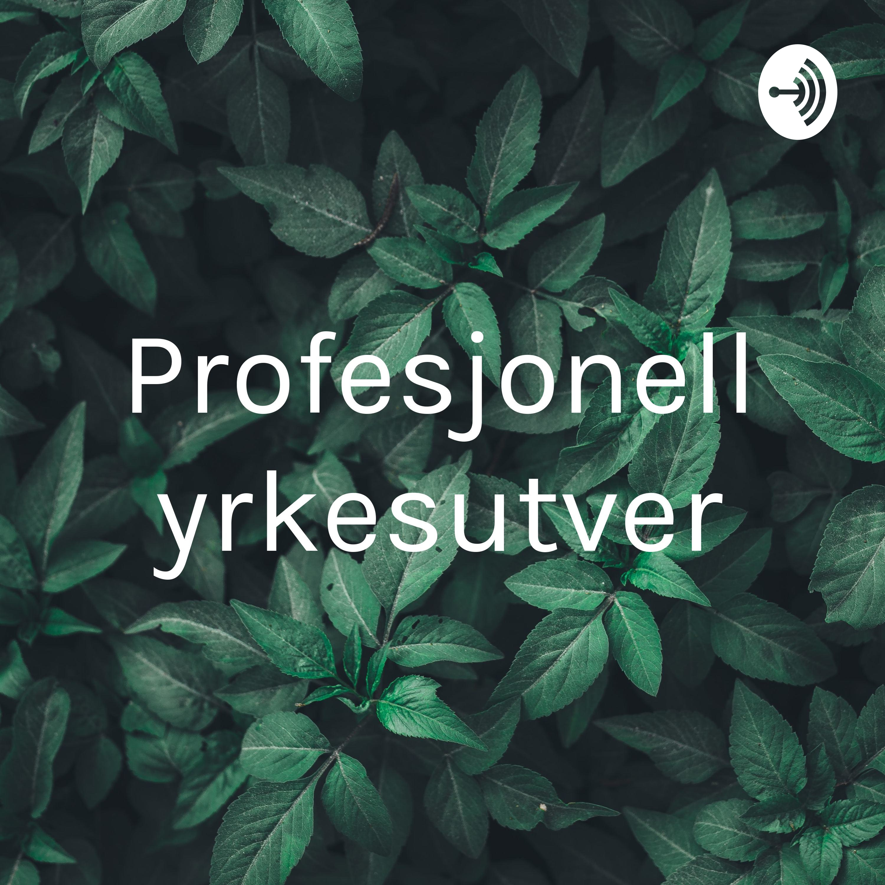 Profesjonell yrkesutøver