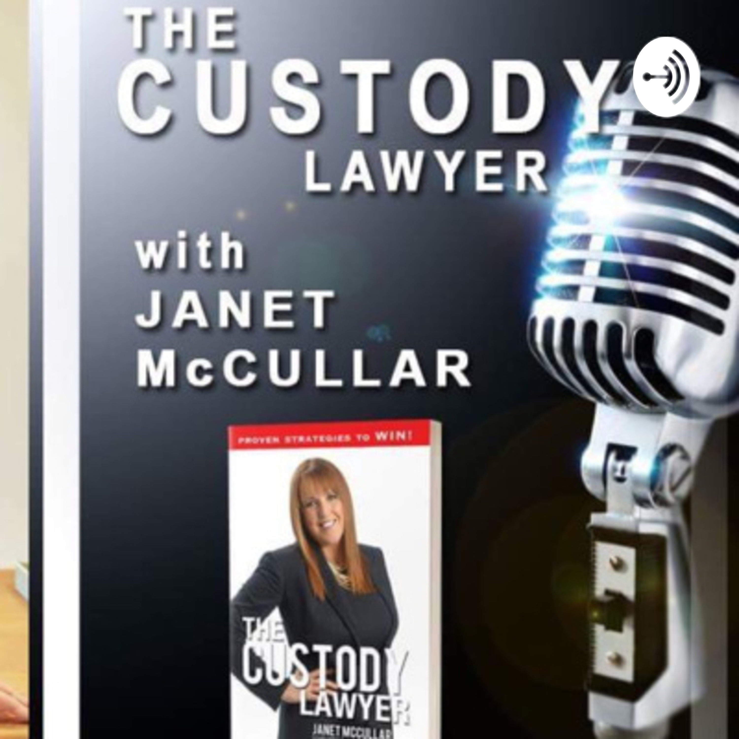 More on Parental Alienation -The Custody Lawyer - Podcast #3