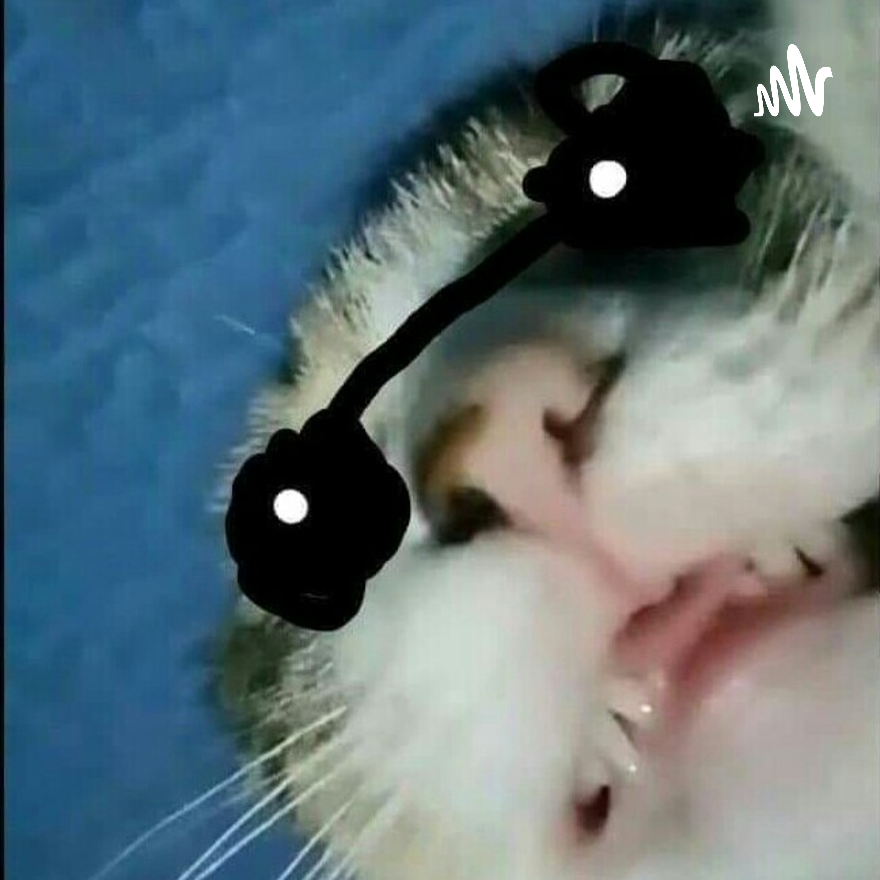 Creppypastas bizarras