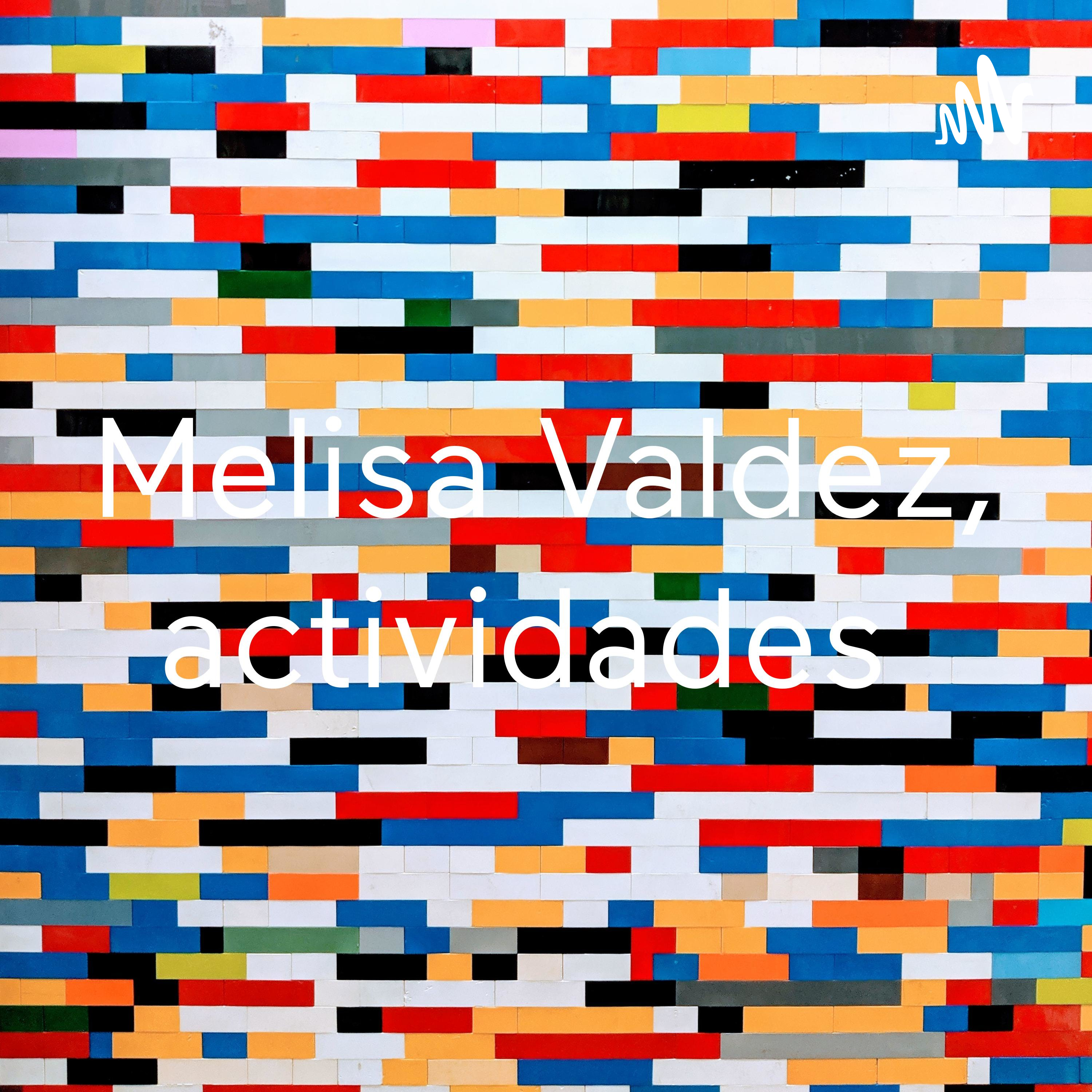 Melisa Valdez, actividades