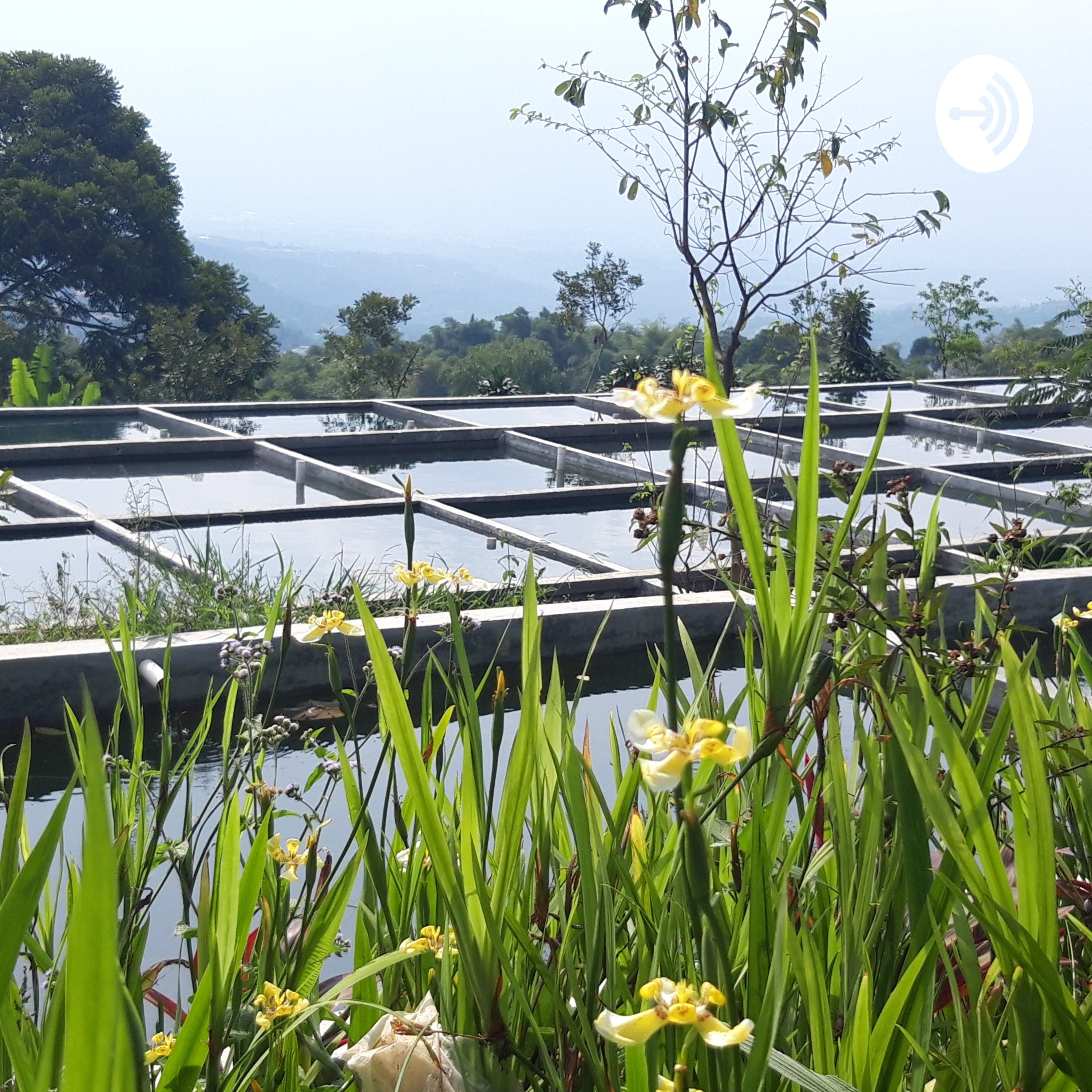 UNIVERSITASKEHIDUPAN