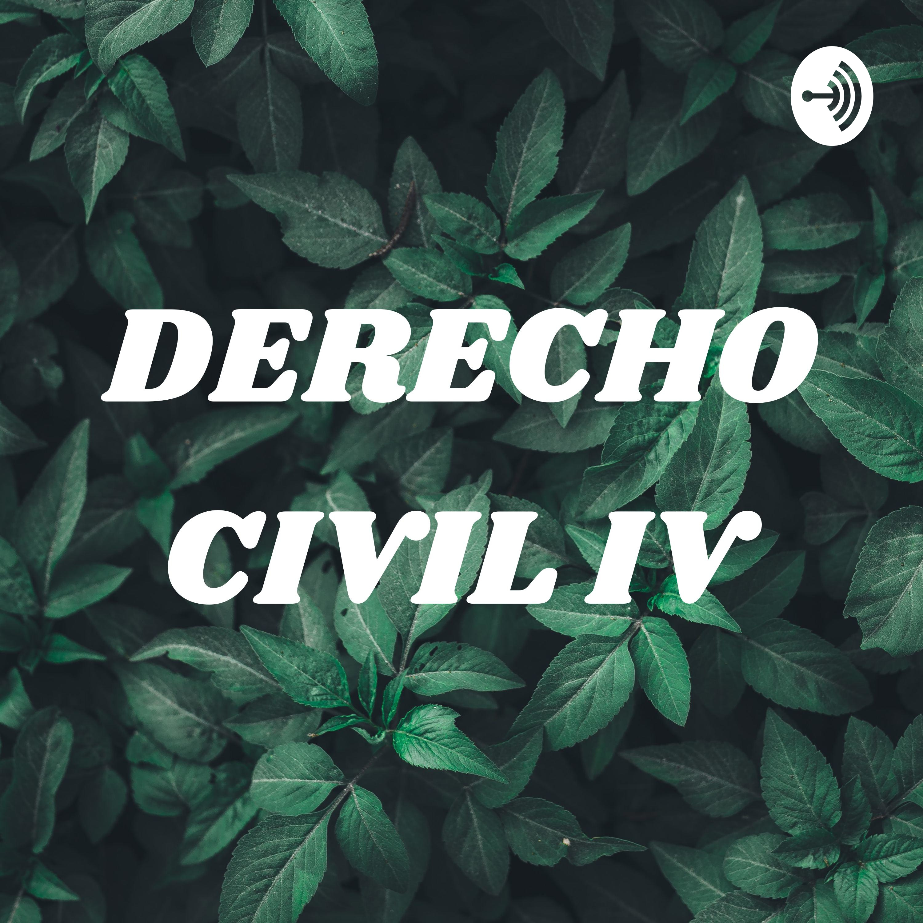 DERECHO CIVIL IV