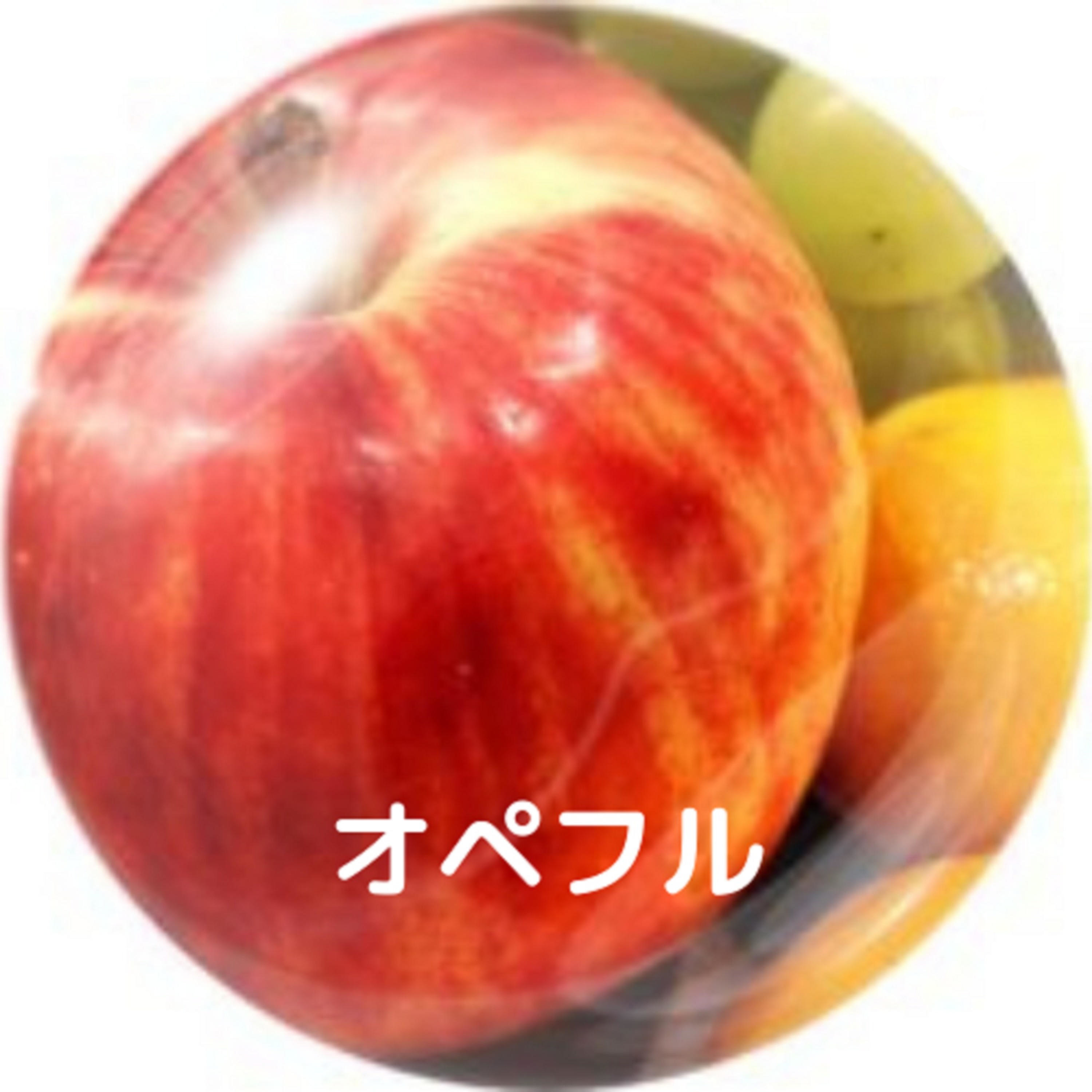 ドクターオペフルのオンライン休憩室