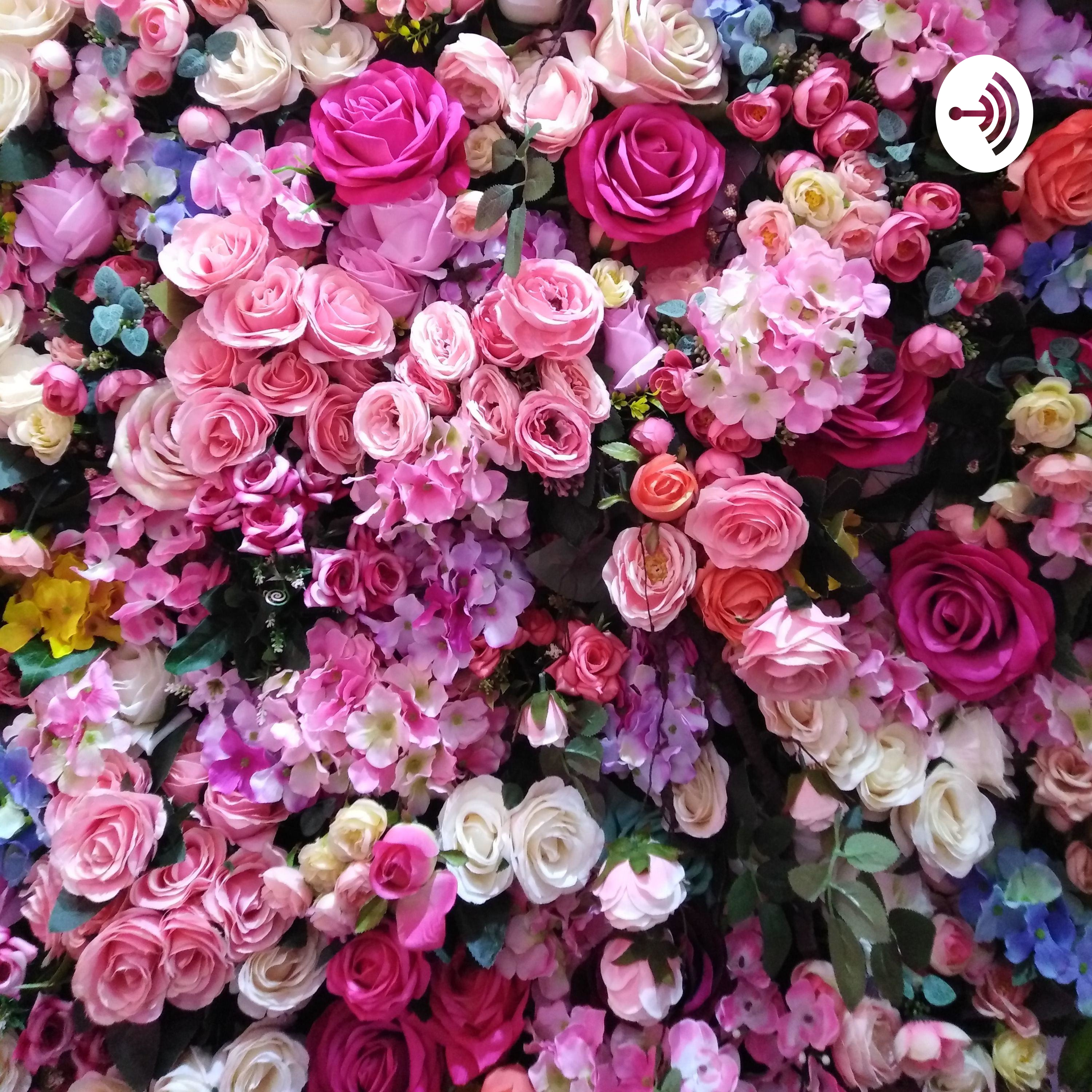 The awkward podcasts