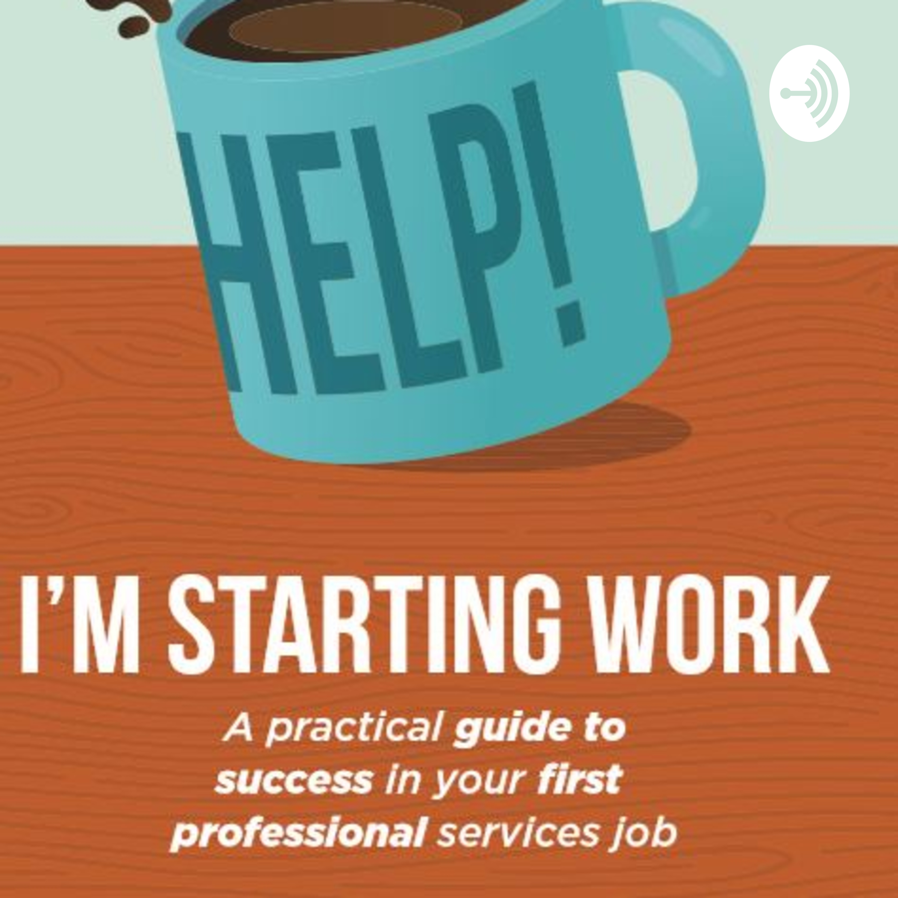 Starting work - what does 'professional' mean in professional services?