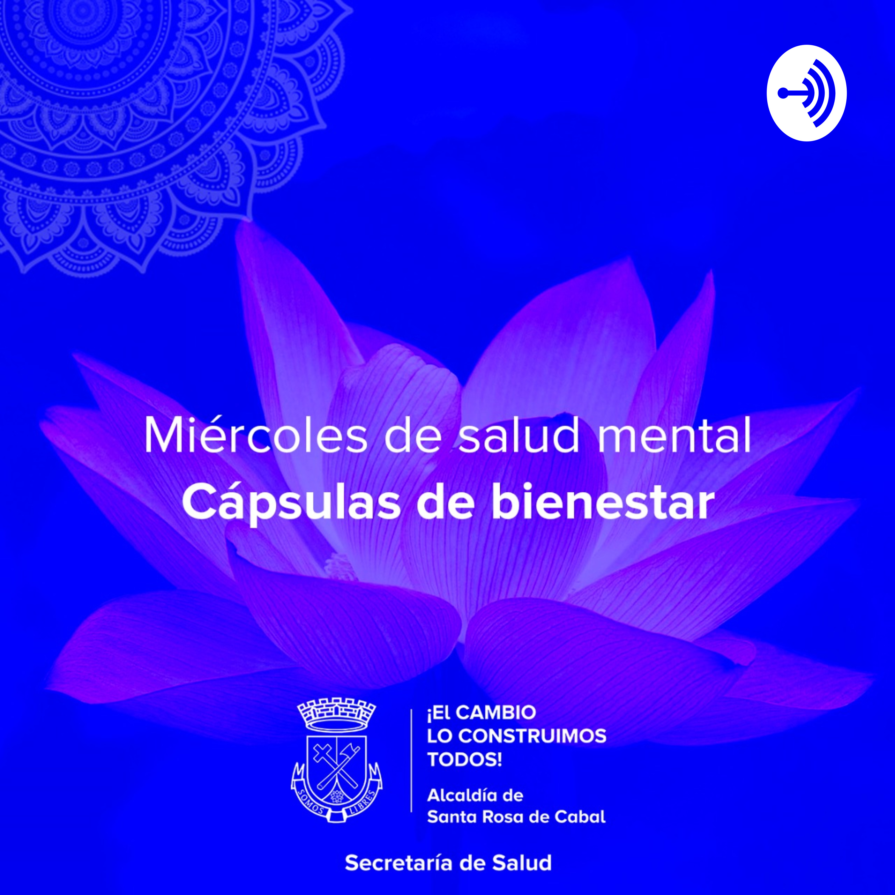 Salud Mental 🗣️🧠