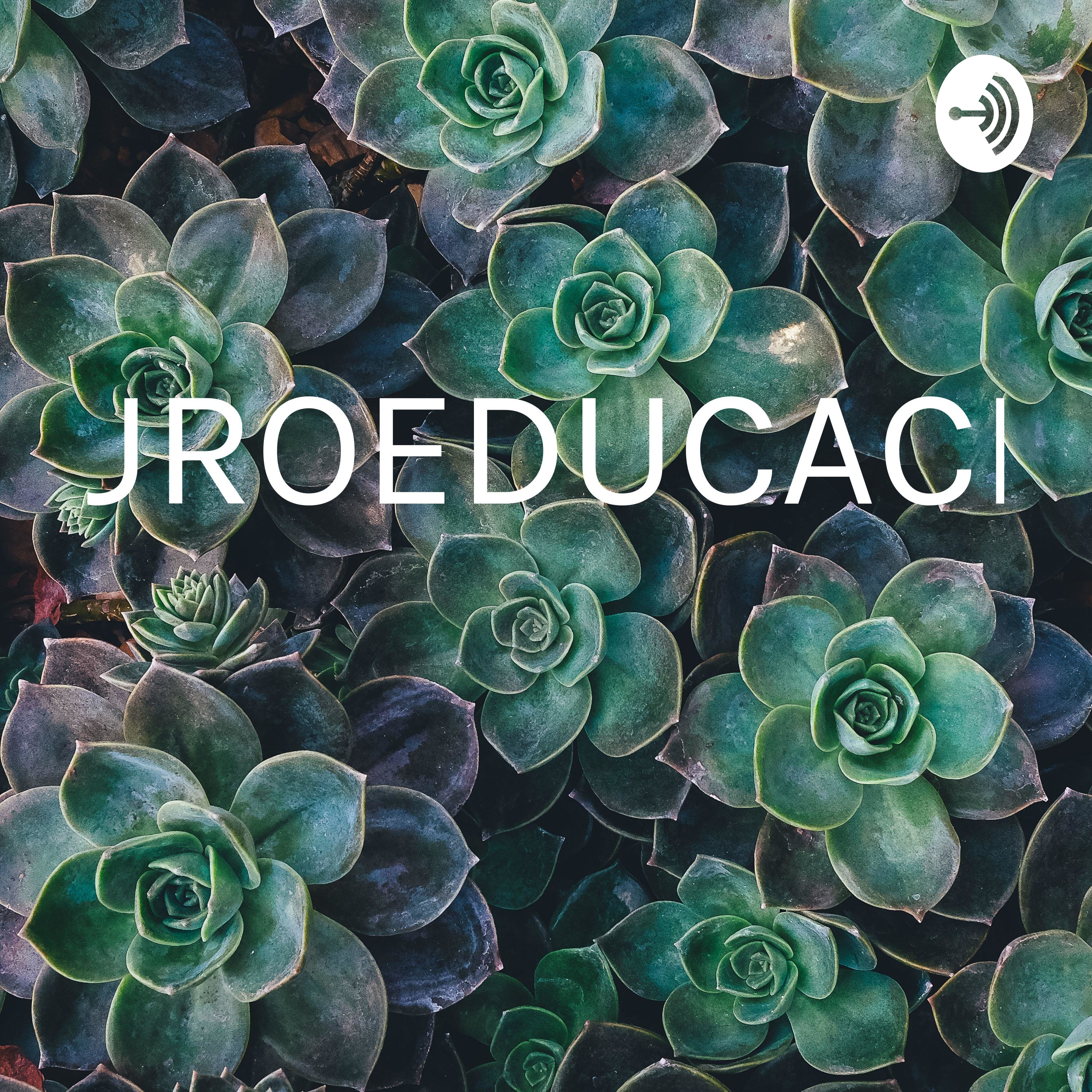 NEUROEDUCACION 