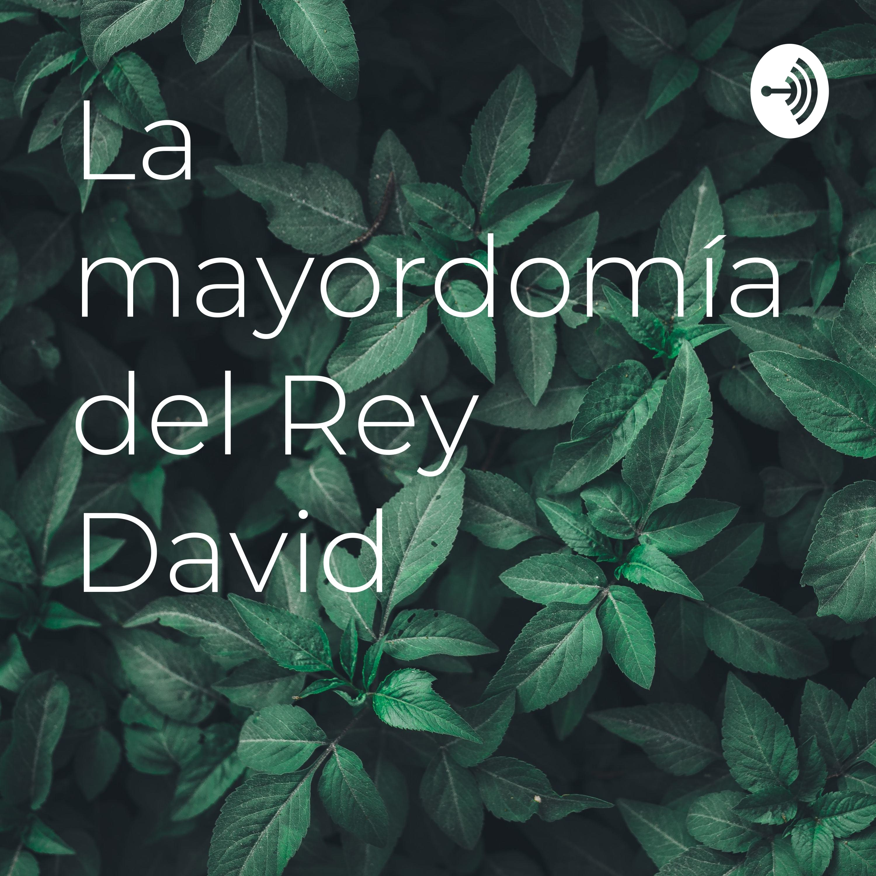 La mayordomía del Rey David 