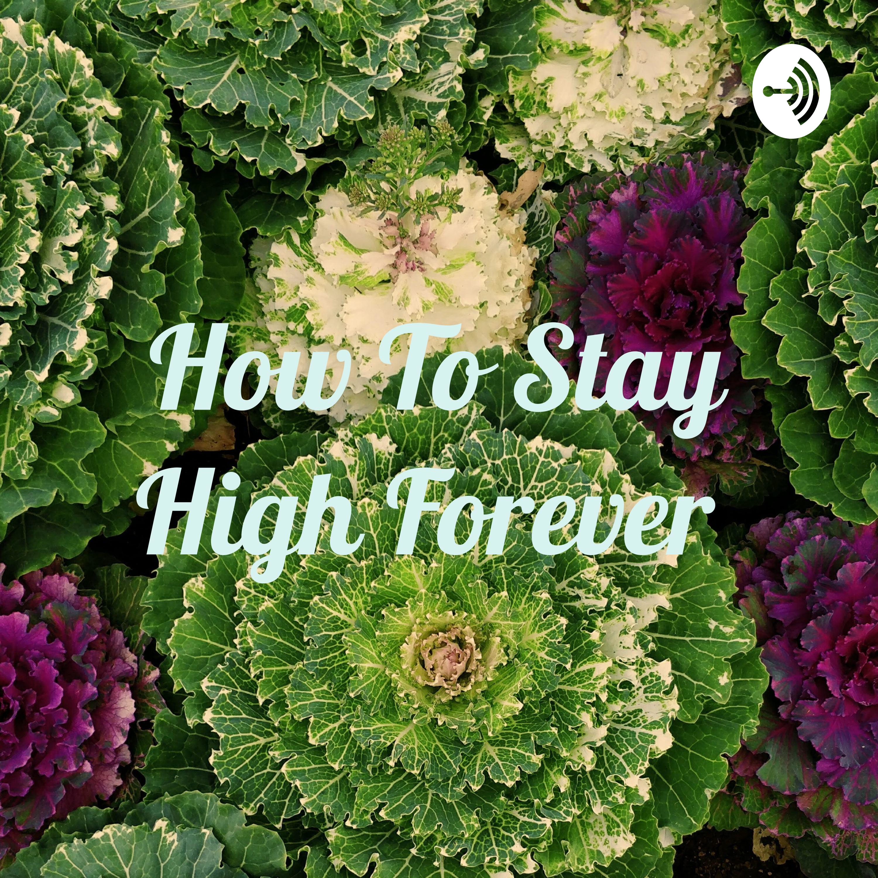 How To Stay High Forever af Ion T. Veddinge