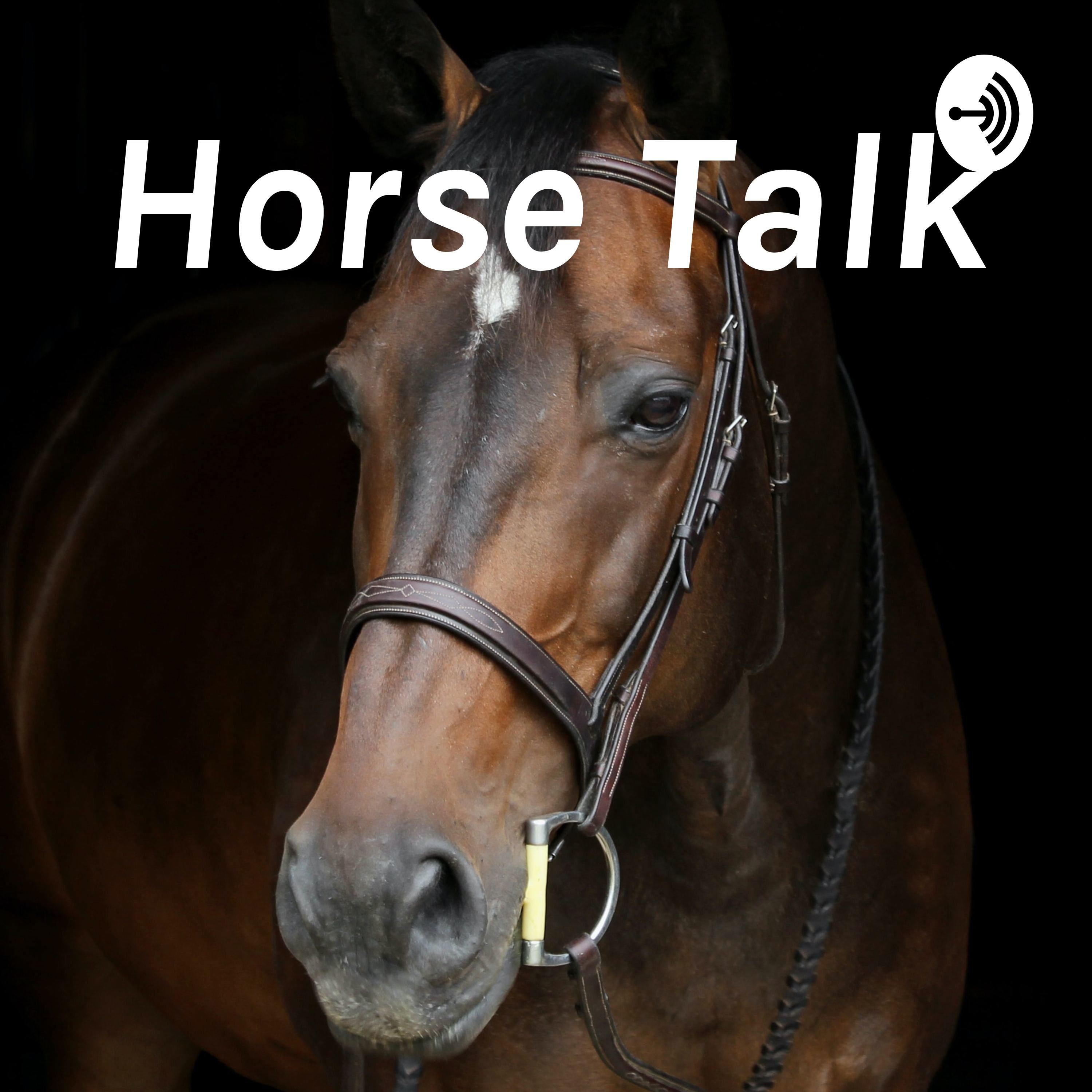 Horse Talk