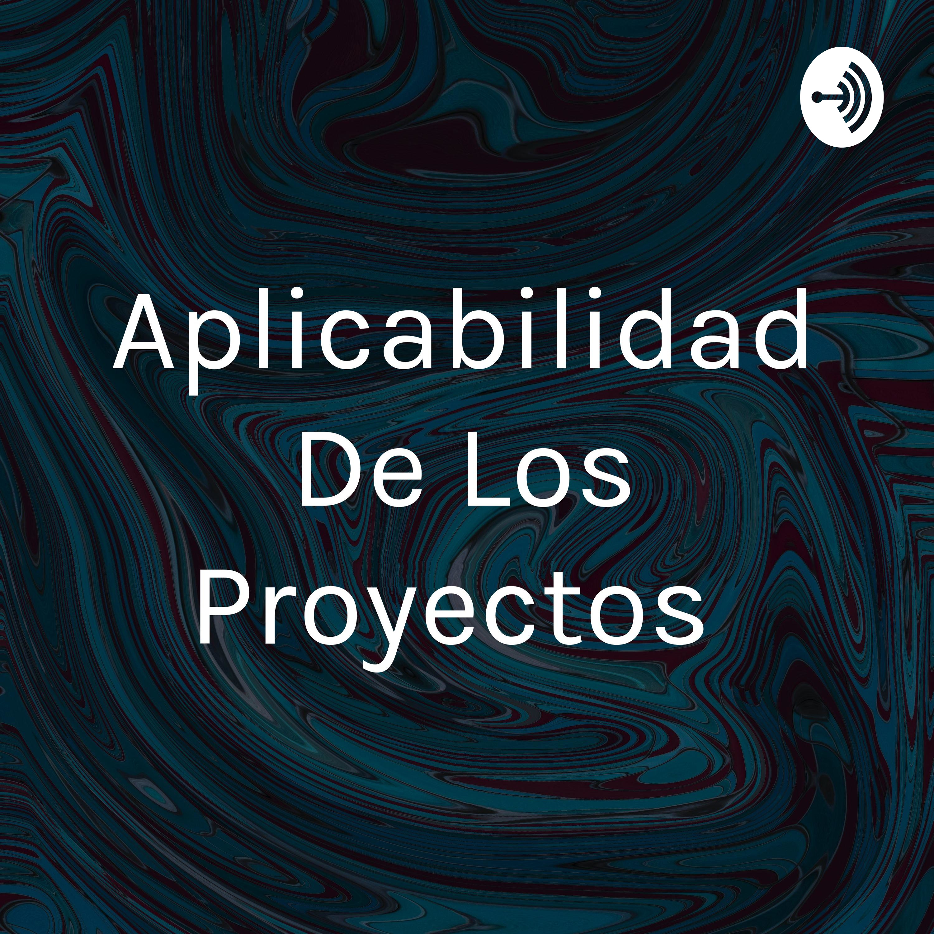 Aplicabilidad De Los Proyectos 