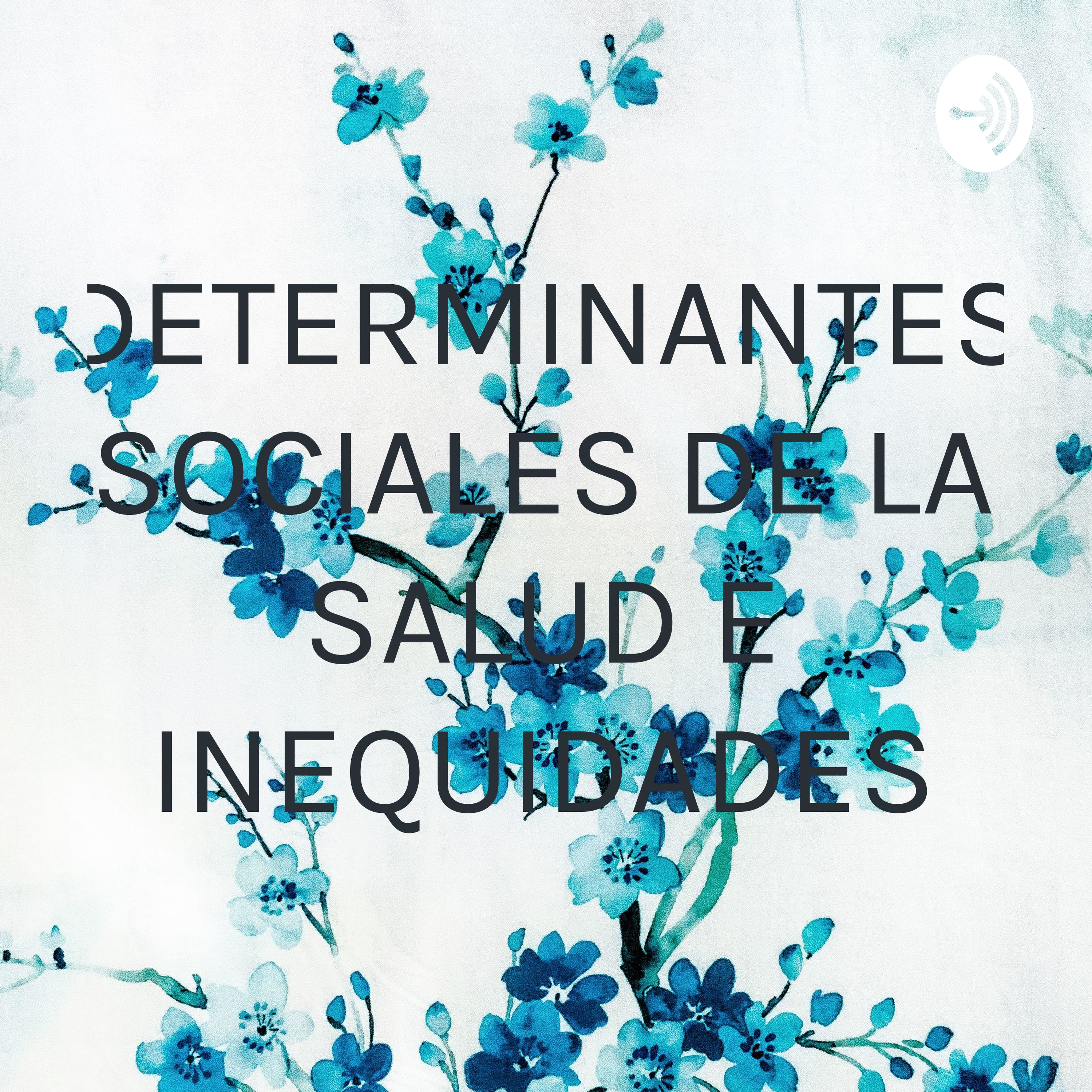 DETERMINANTES SOCIALES DE LA SALUD E INEQUIDADES