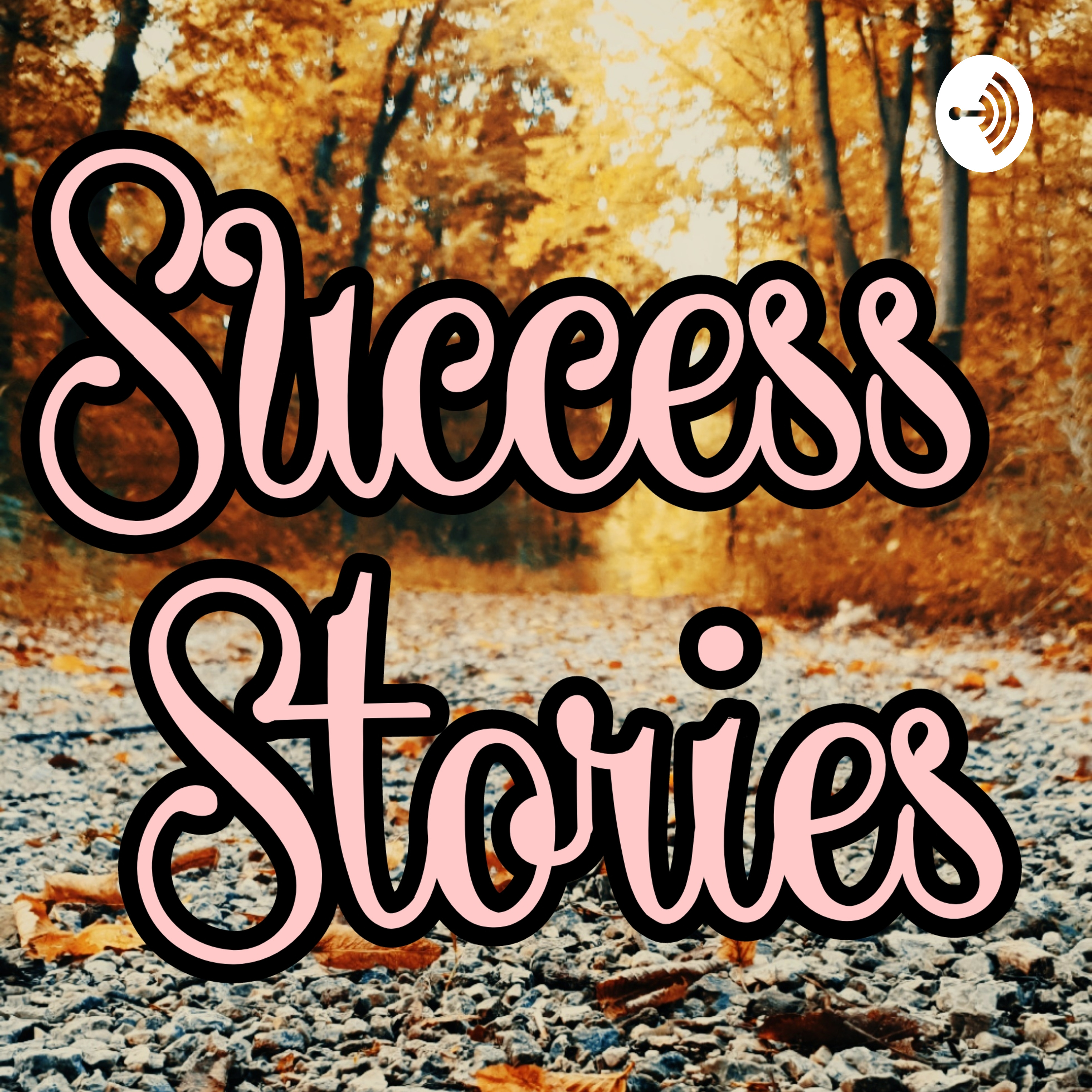 Dhamakedar Success Stories In Hindi