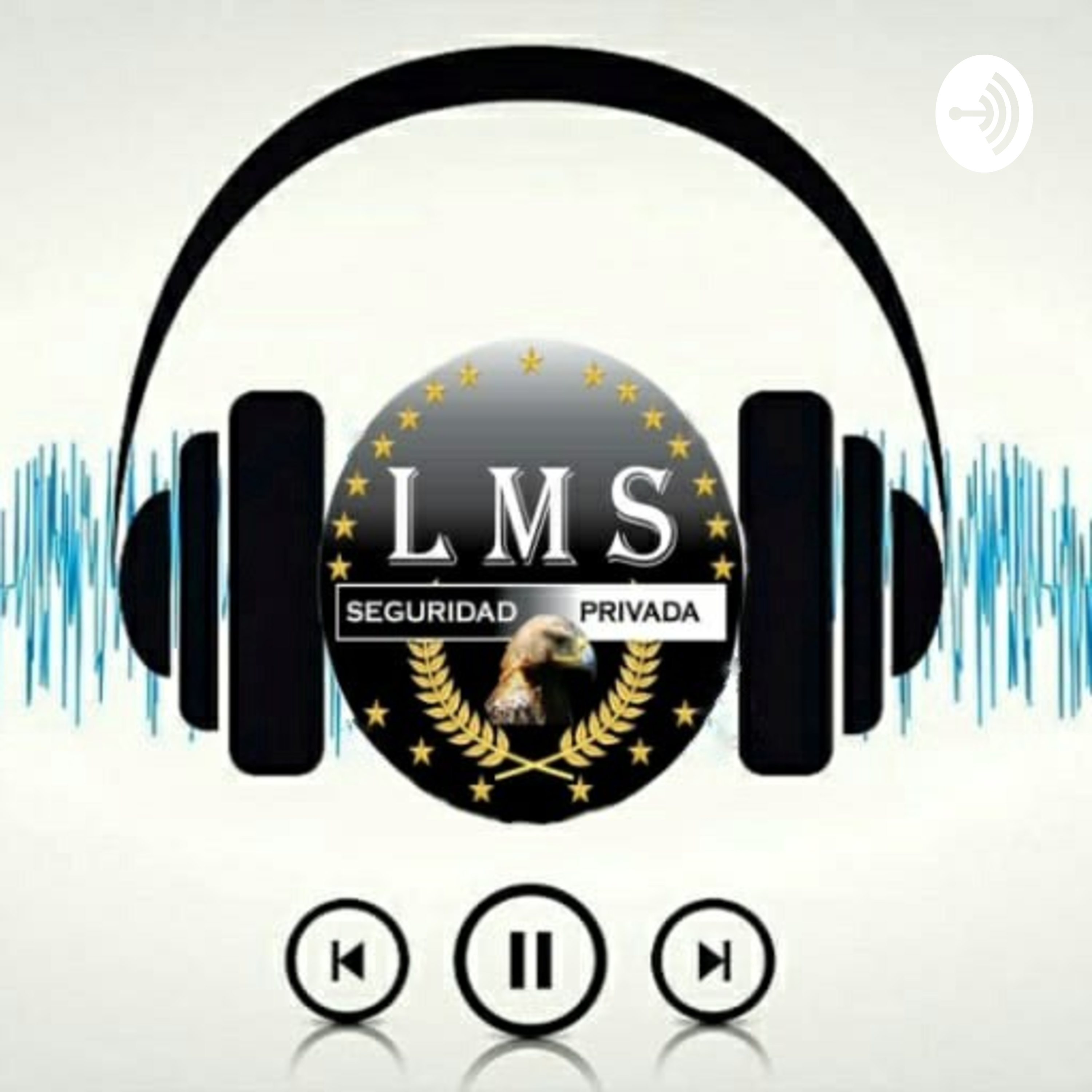 ¿QUE ES LA SEGURIDAD PRIVADA?