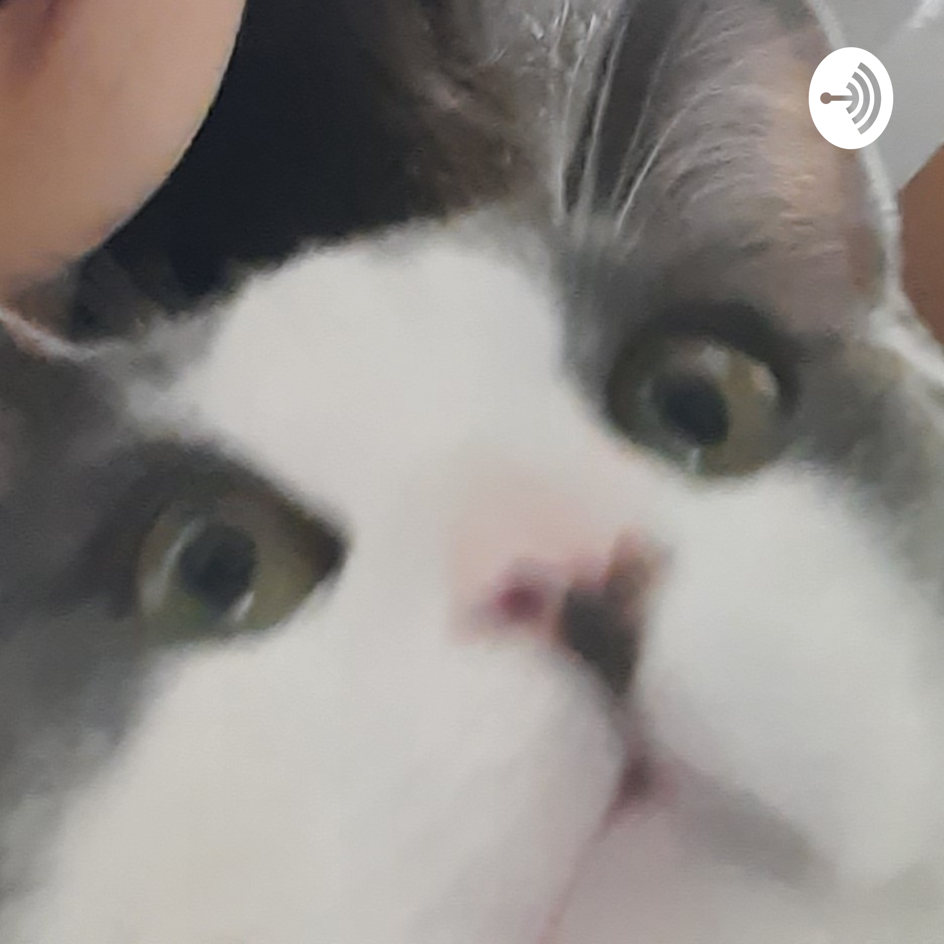 LENGUA EXTRANJERA CLAUDIA MENDOZA