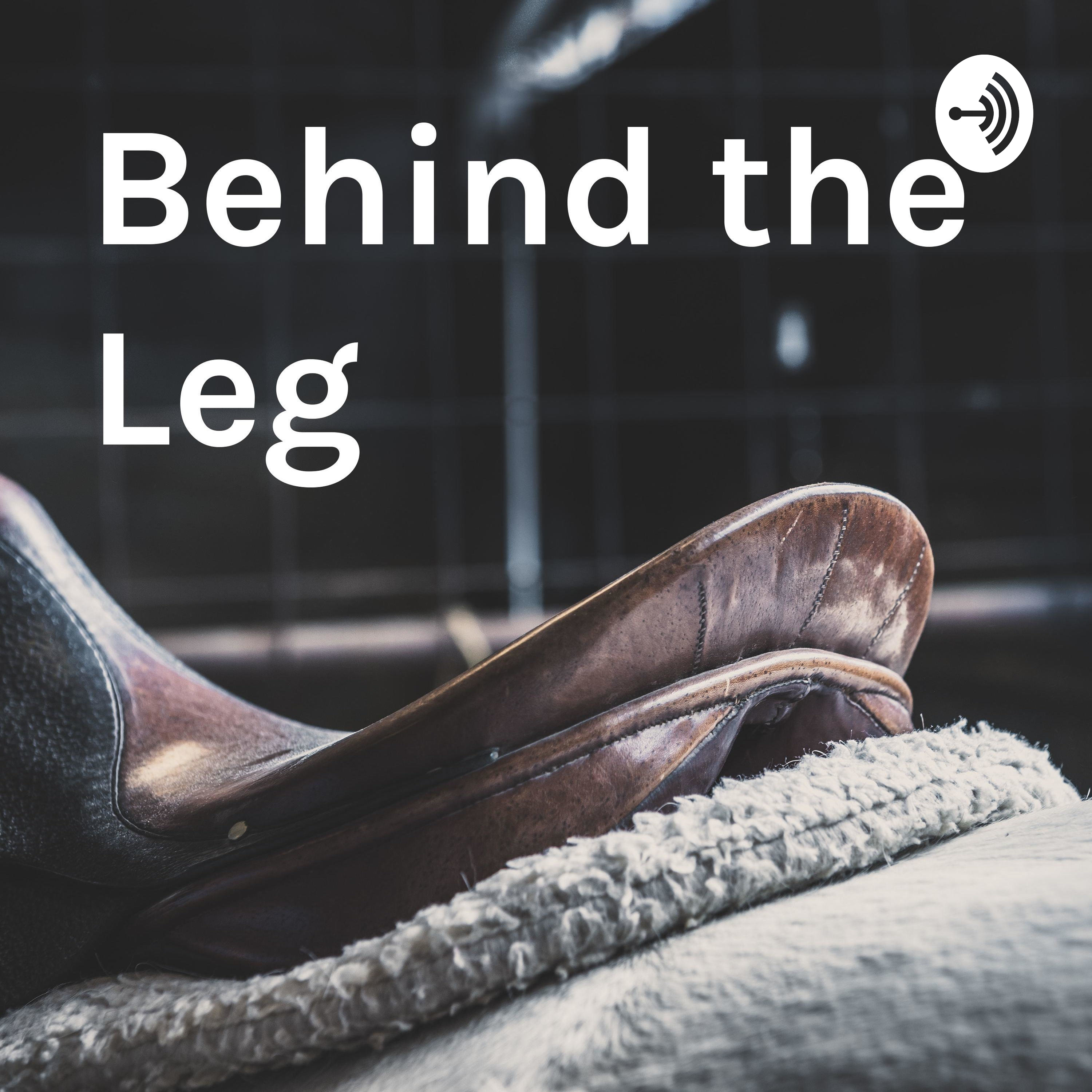 Behind the Leg - equestrian insights 