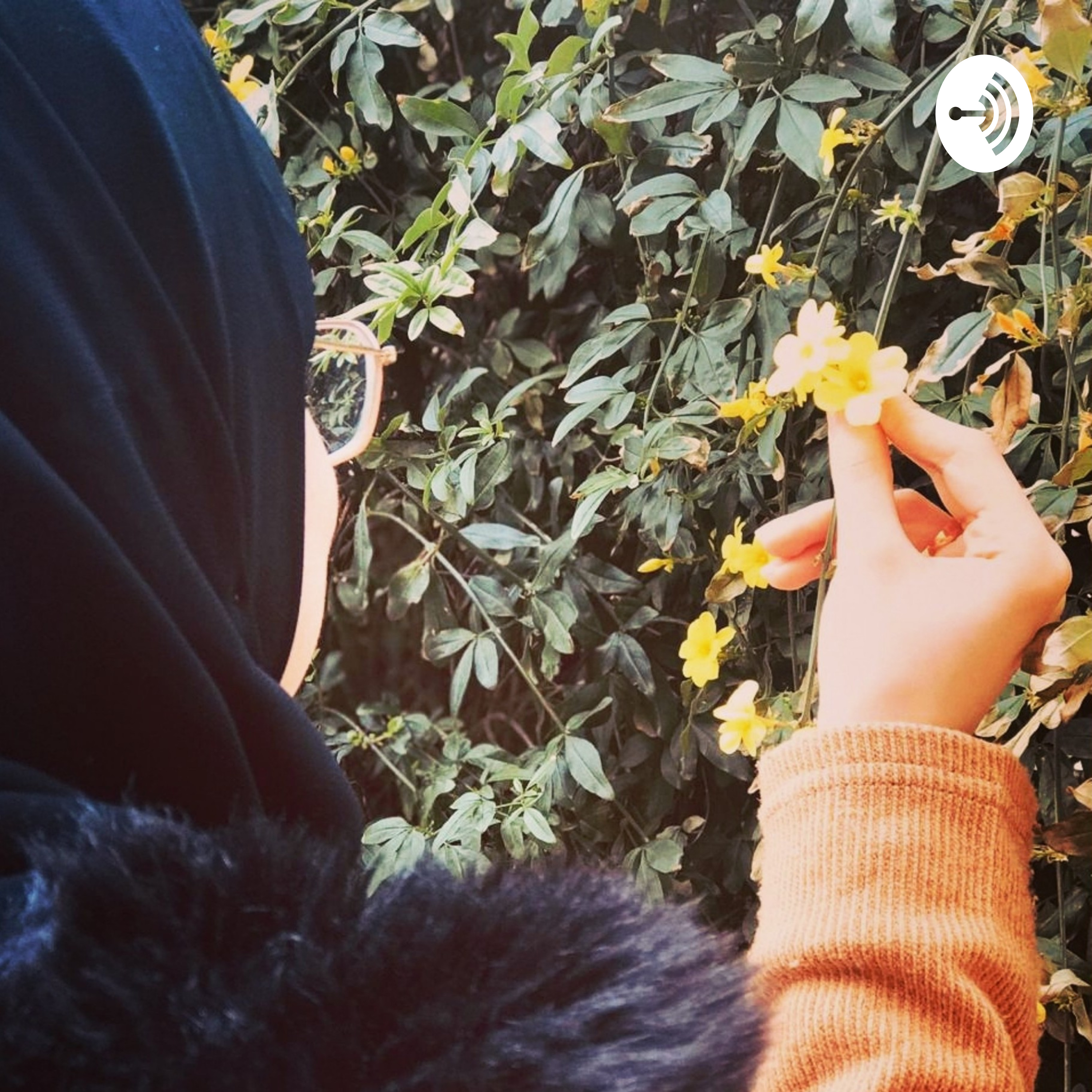 رهاميات