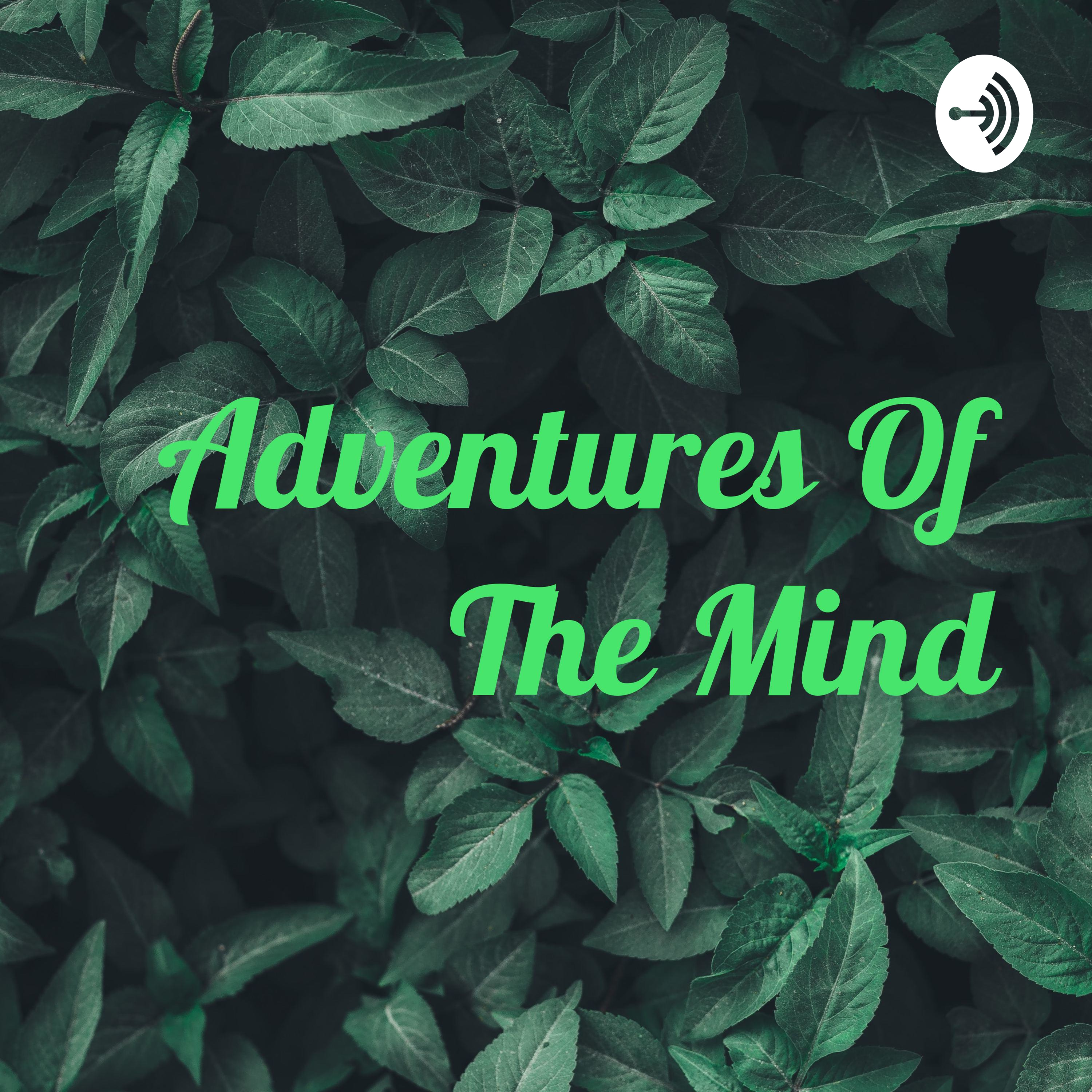 Adventures Of The Mind