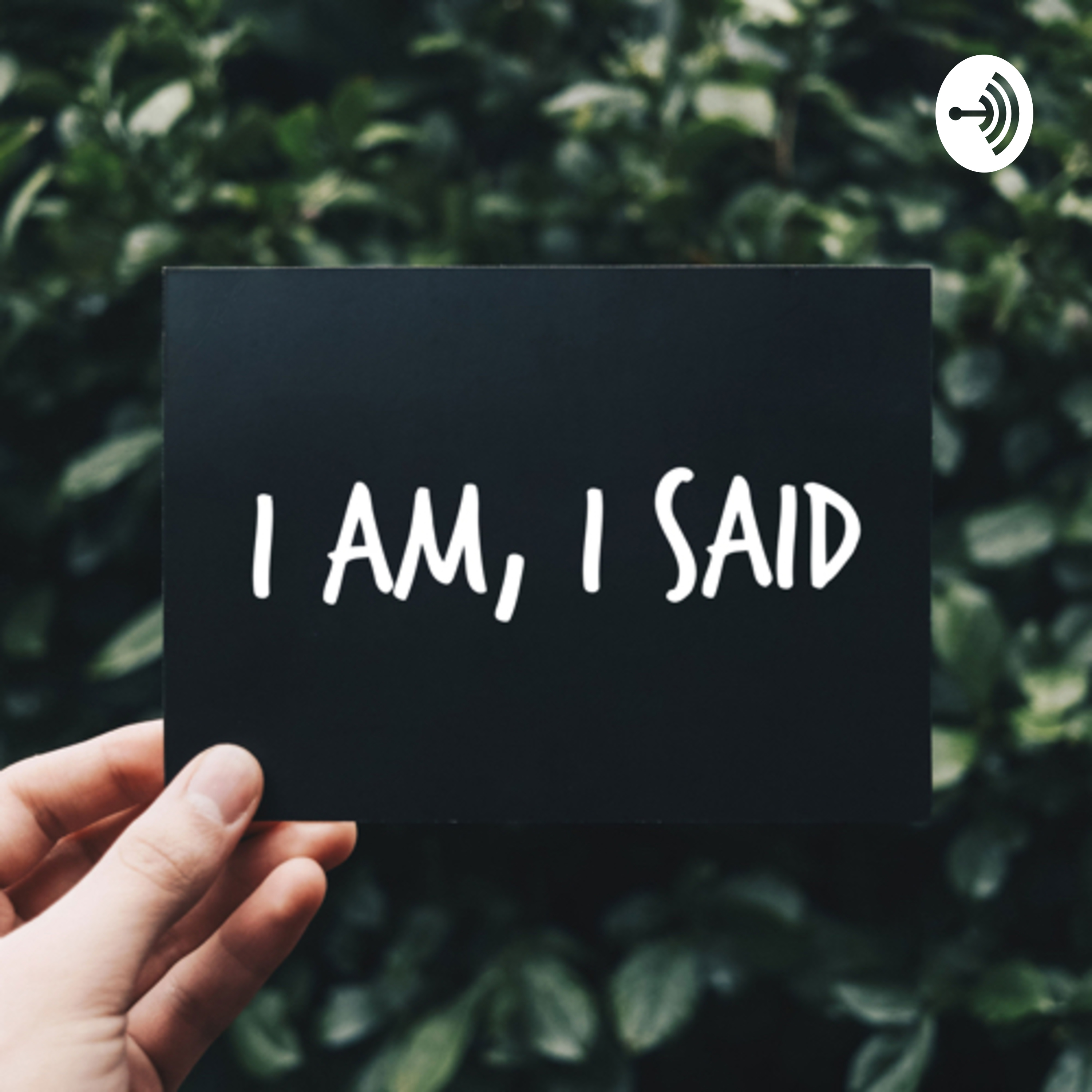 I am, I said