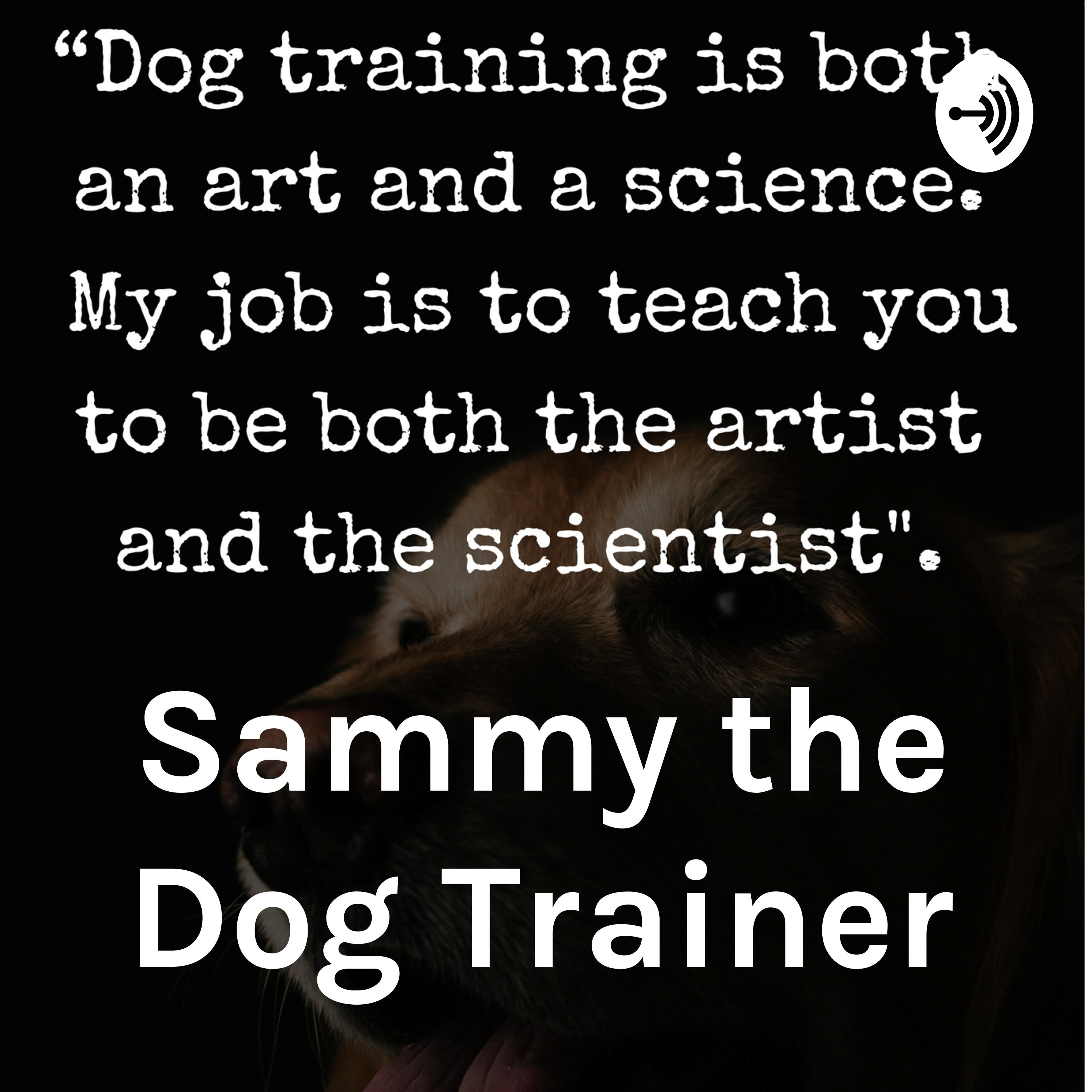 The Puppy Cast: Thoughts about Buying a Puppy Podcast