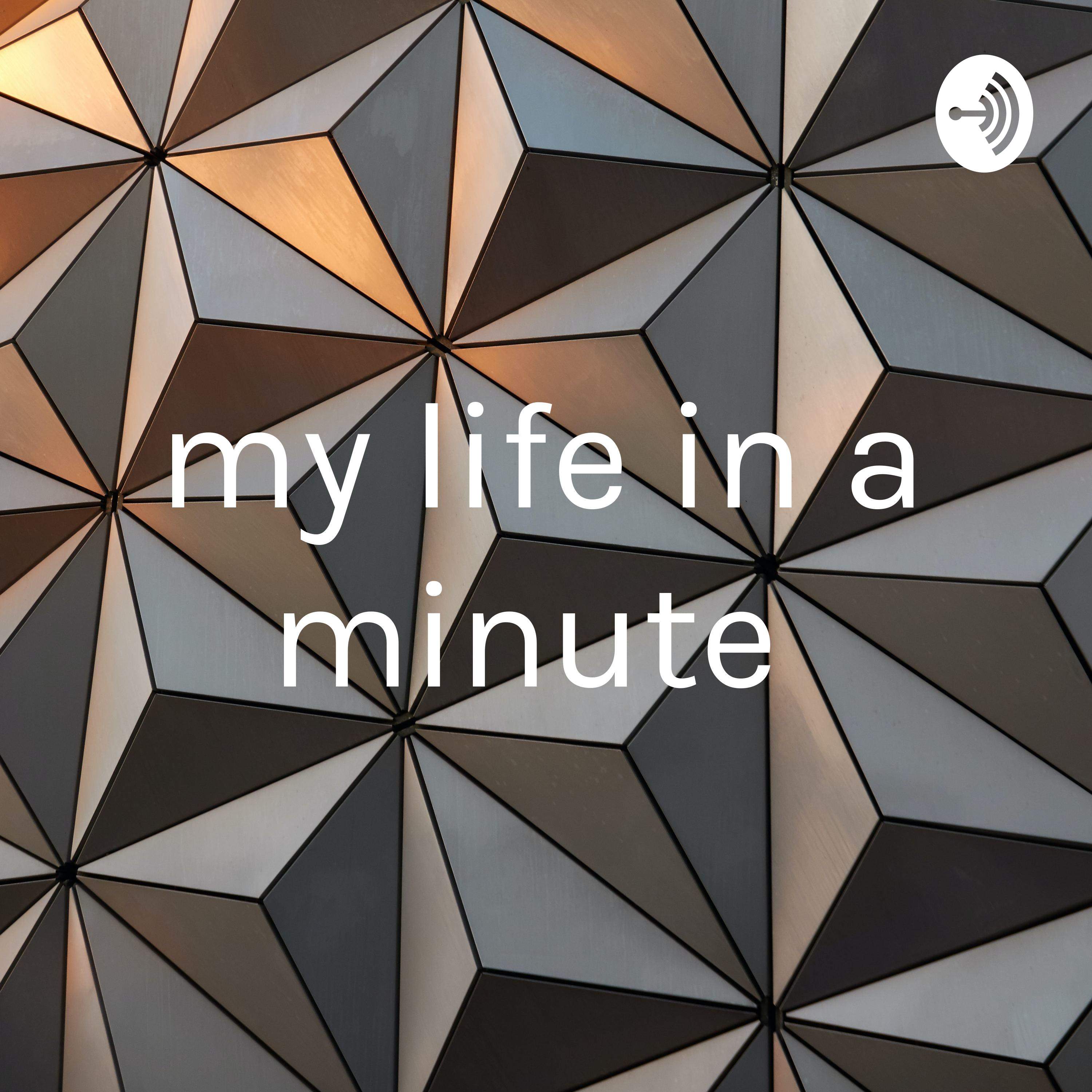my life in a minute 