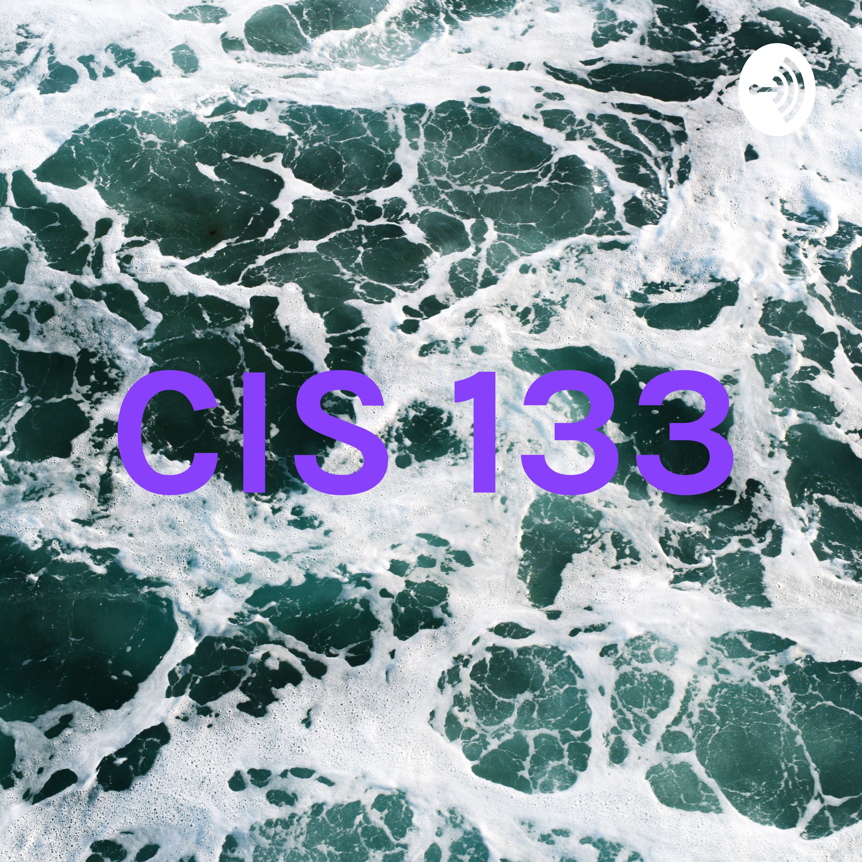 CIS 133