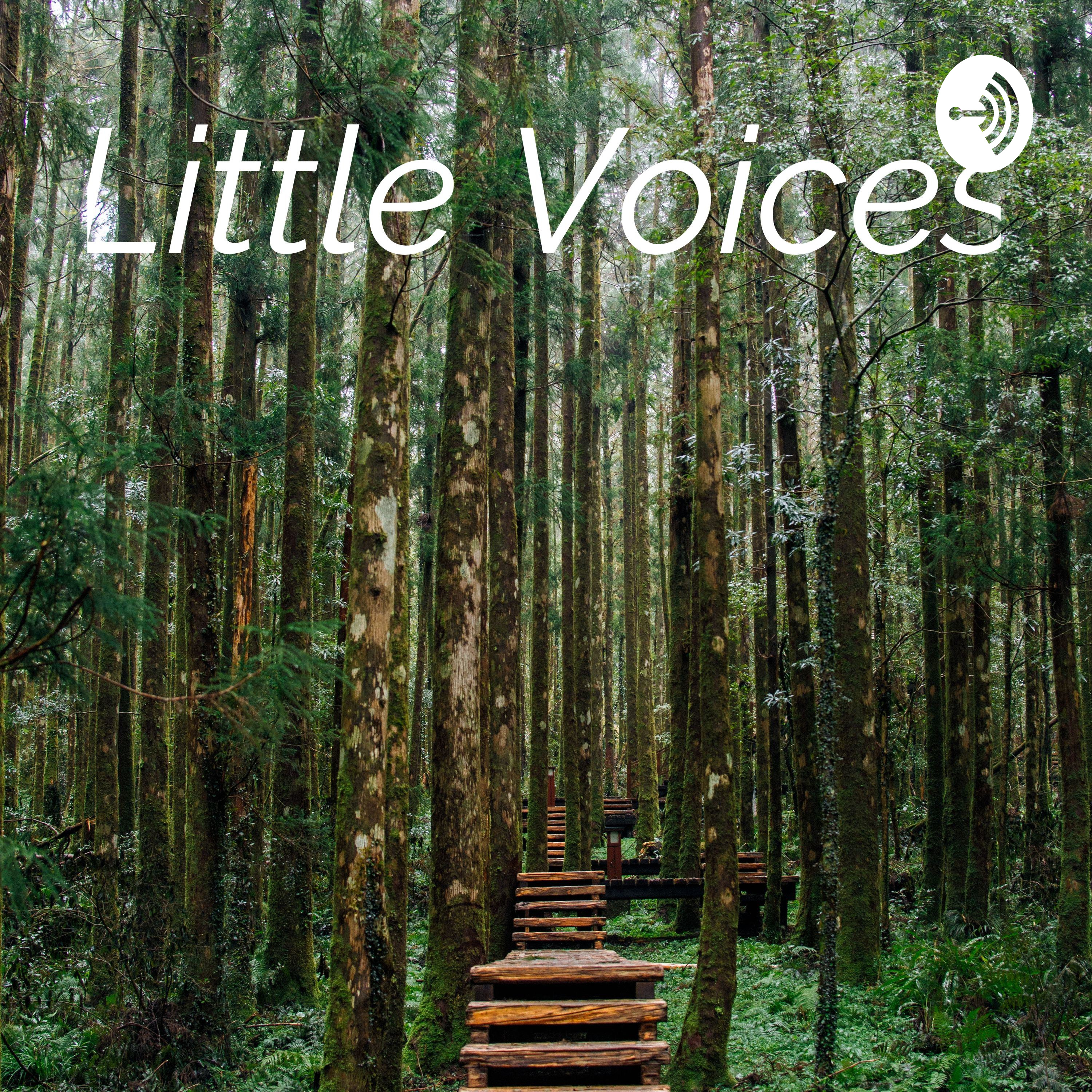 Little Voices