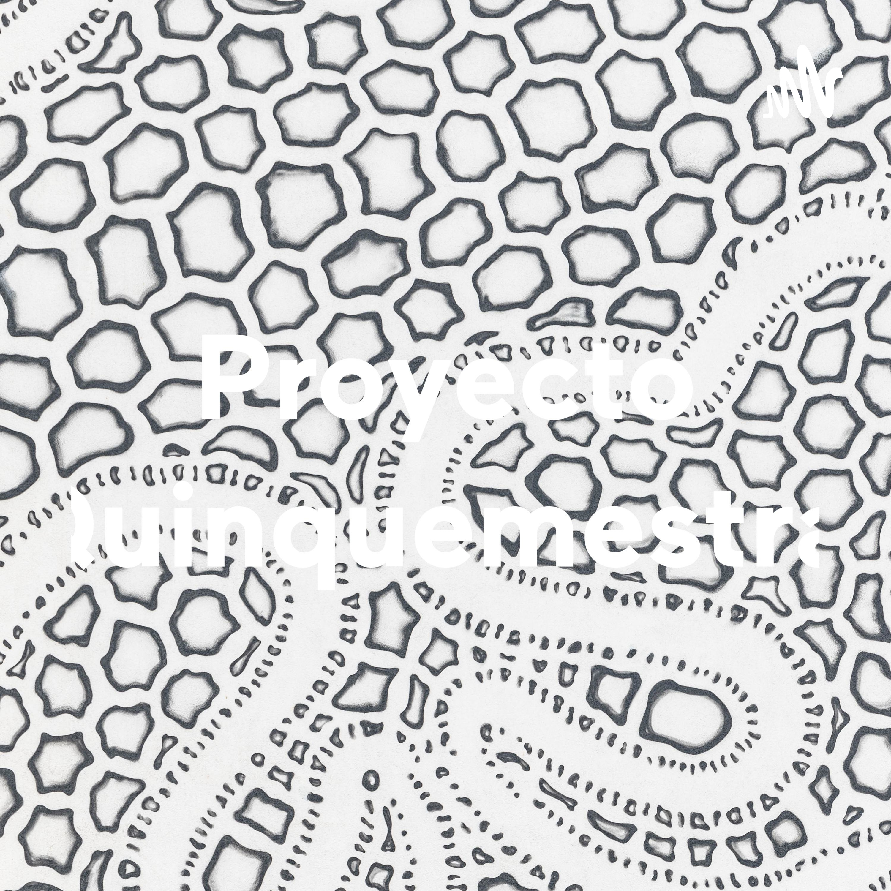 Proyecto Quinquemestral