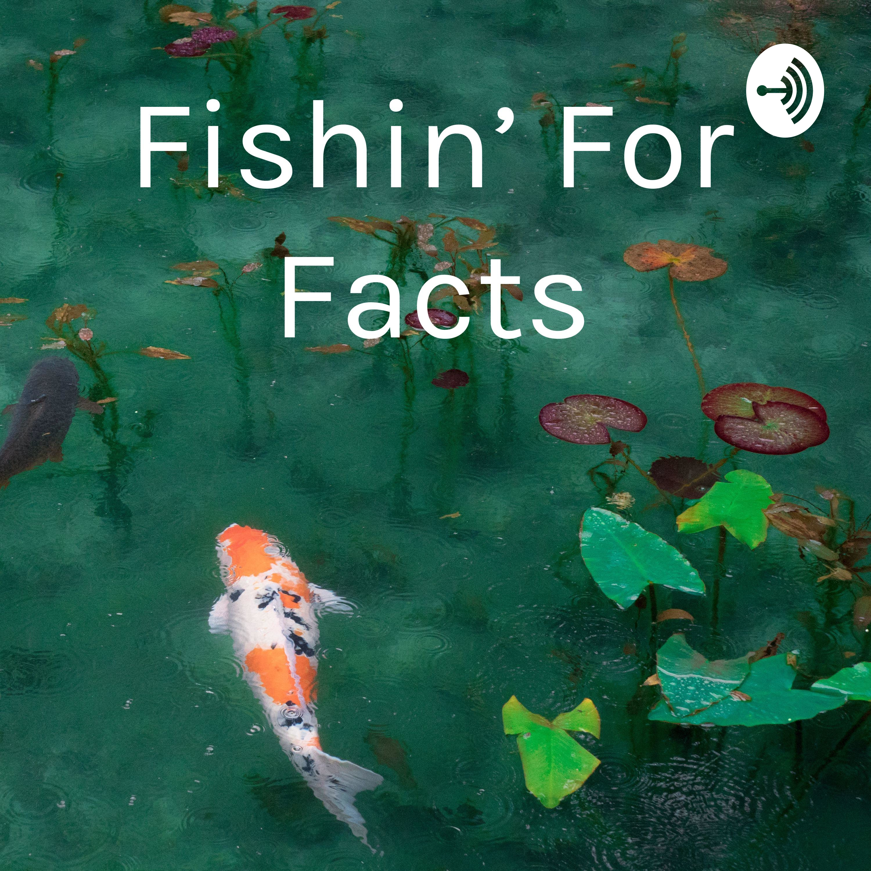 Episode 6: The Fenntastic Treasure Hunt