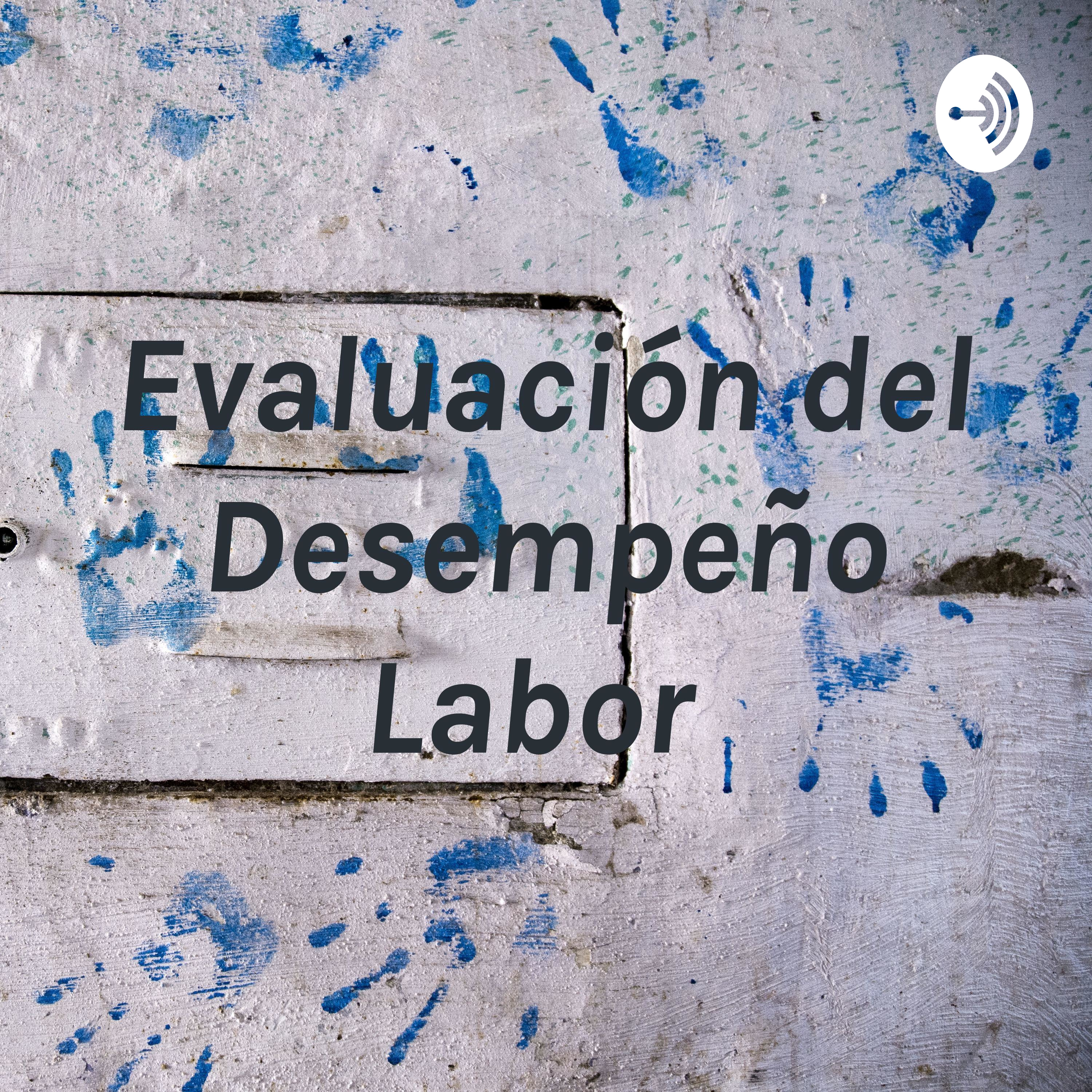 Evaluación del Desempeño Labor 