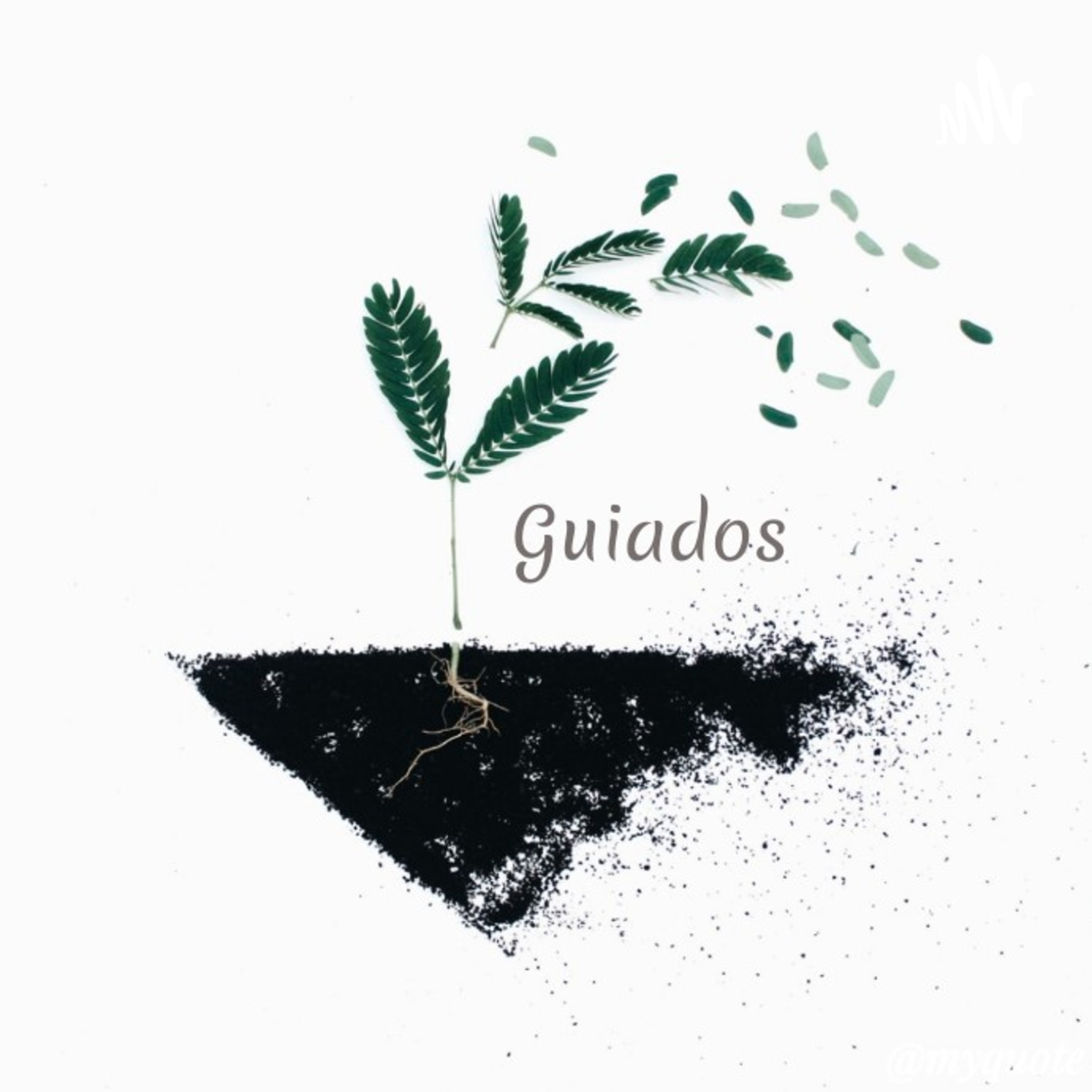 Guiados