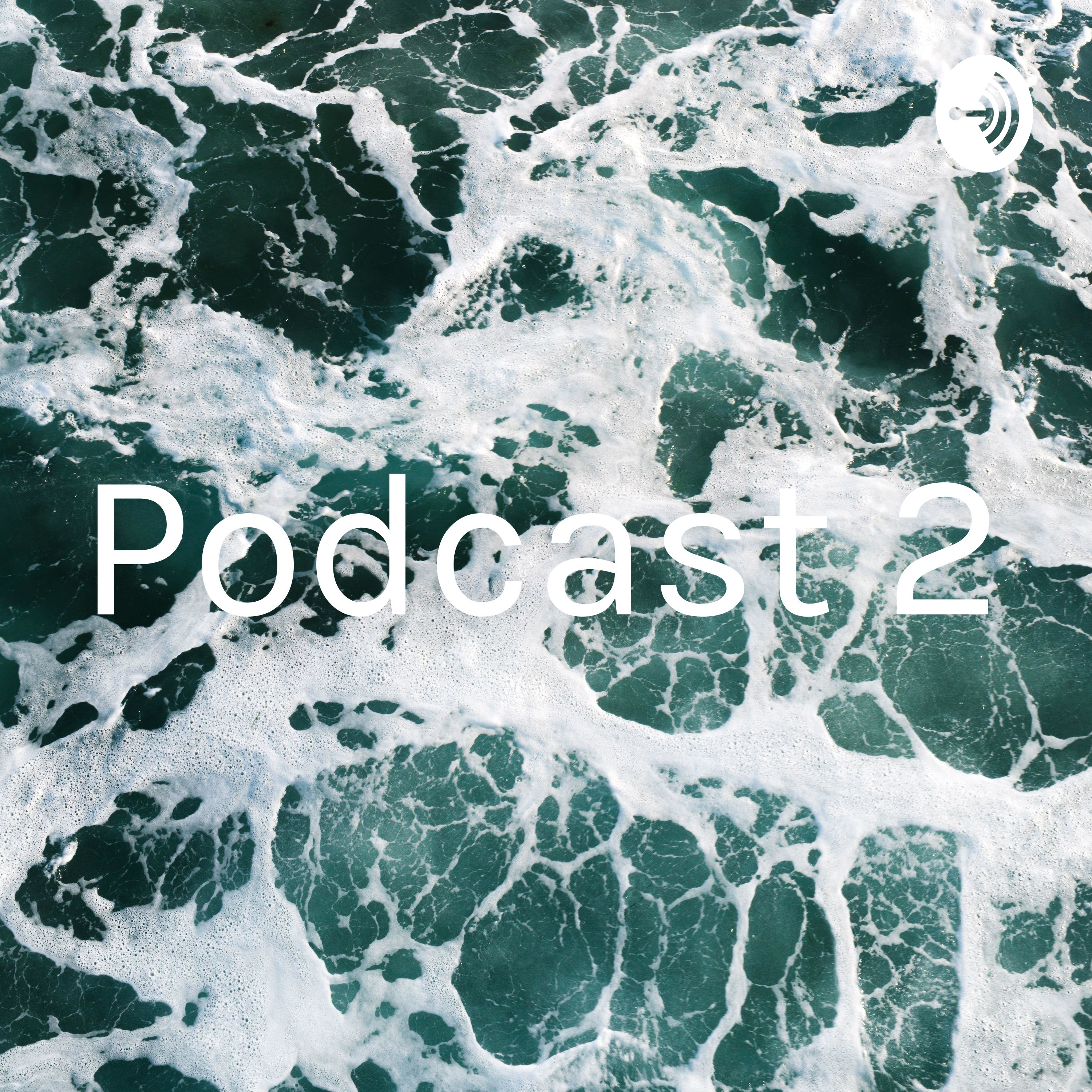 Podcast 2